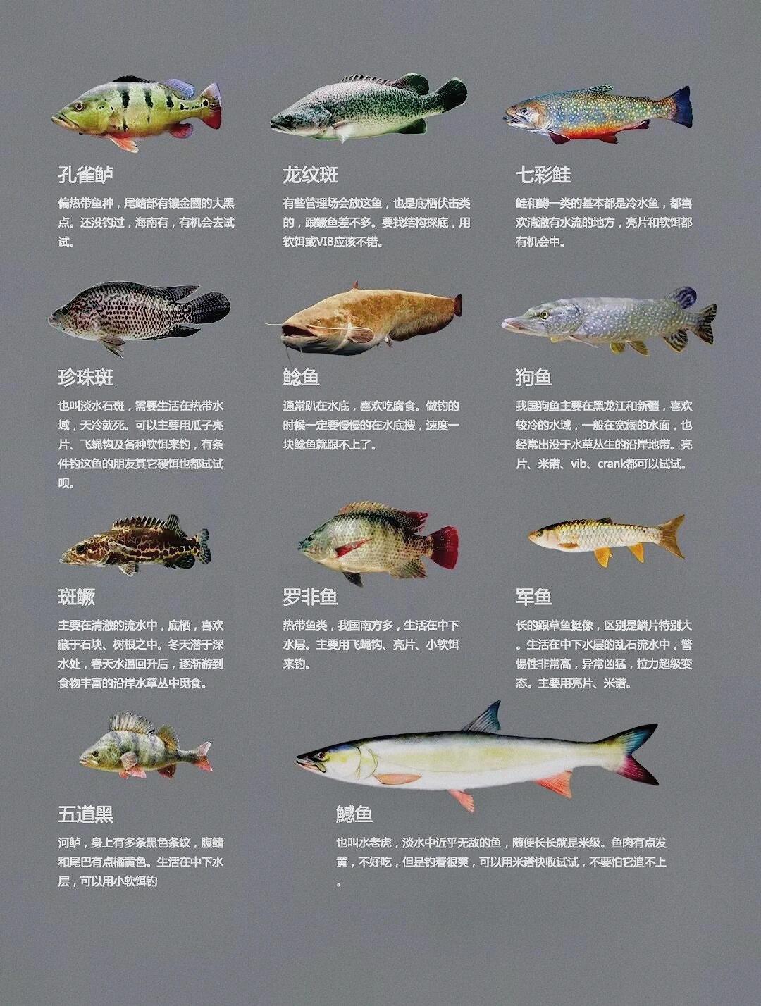 路亚鱼种