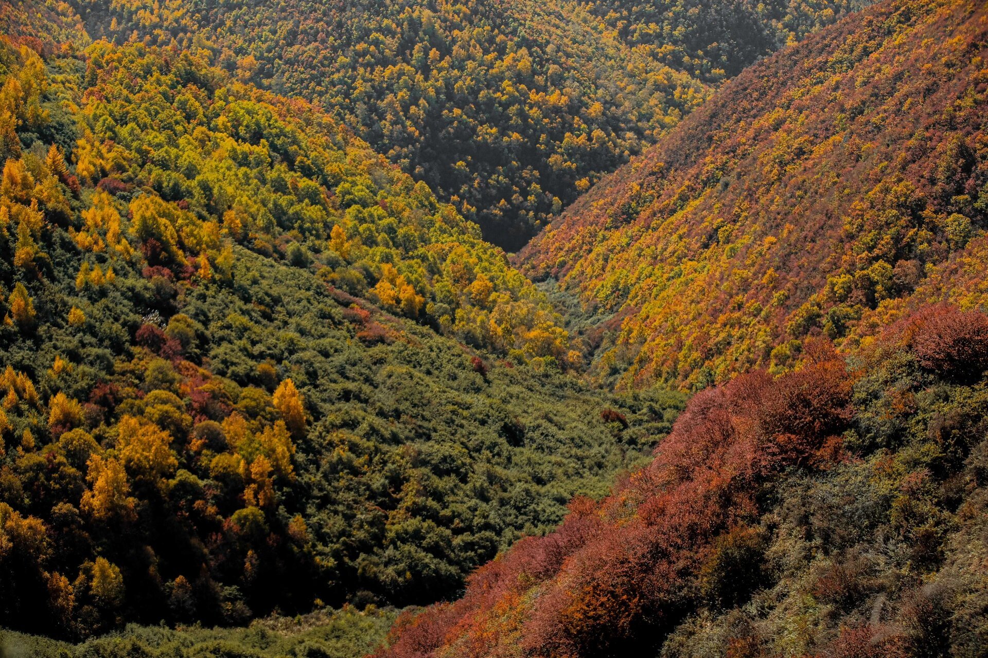 带你看北国的秋-兰州云顶山 周末天气真的巨好无比,爬山的人也很多,北