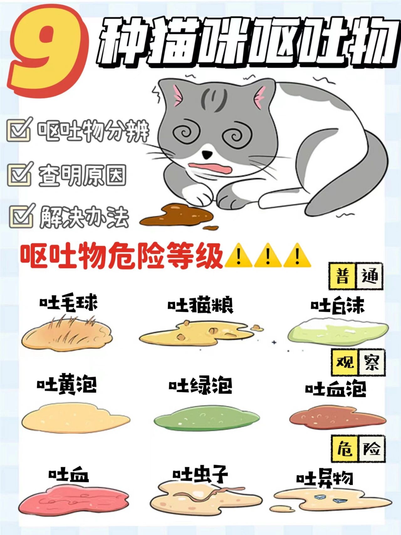 猫呕吐物图片分析图片