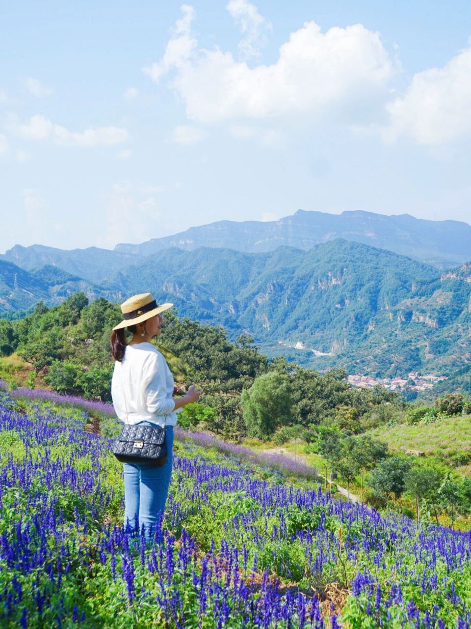 南天丽景高山花海