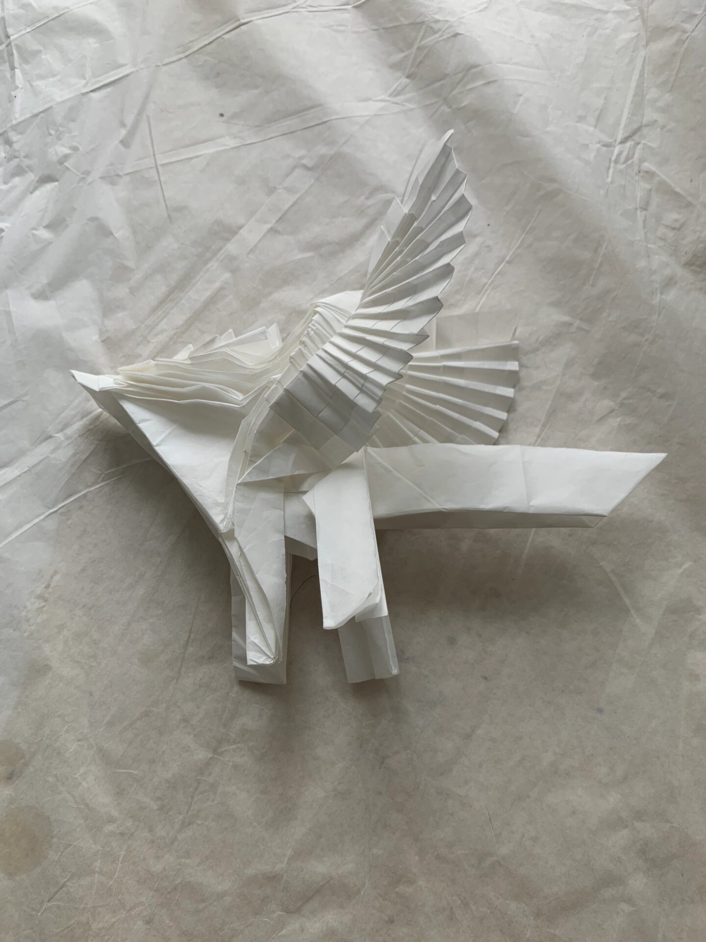 【折纸-展示】天马b3——神谷哲史 心心念念的作品 终于前几天做完了