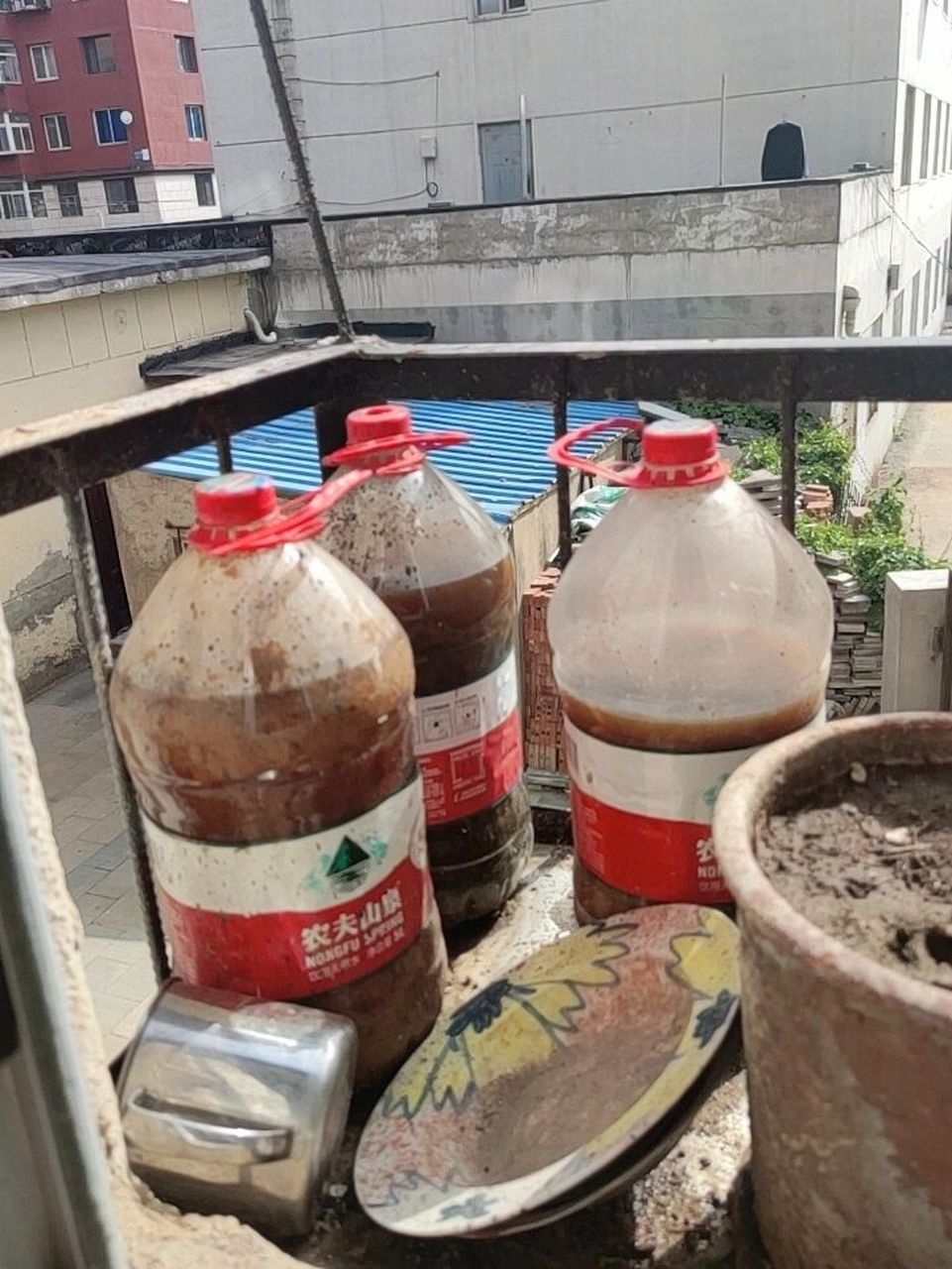 自制矾肥水  自制矾肥水,矾肥水适合喜酸的南方花卉.