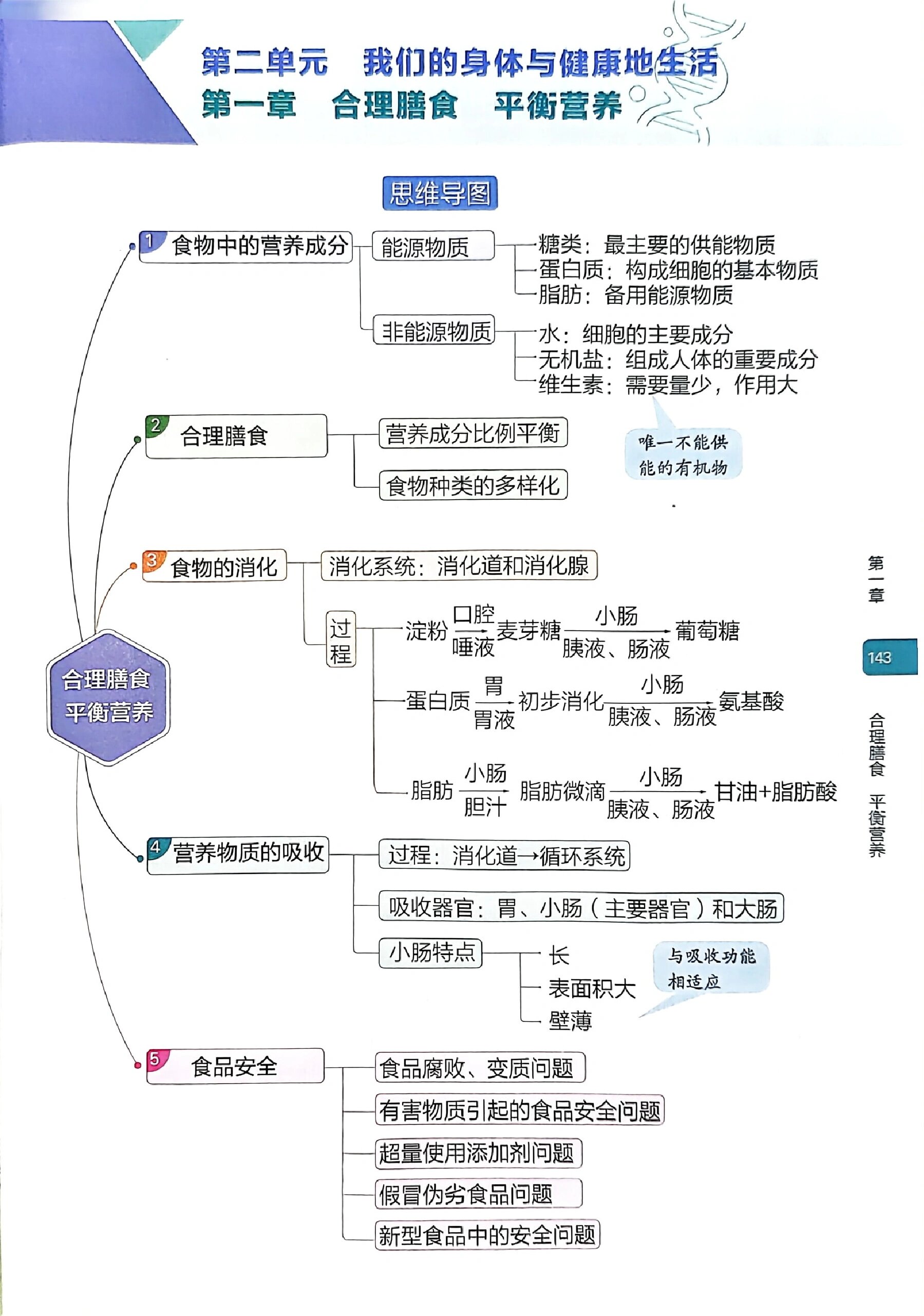 冀少版生物七下