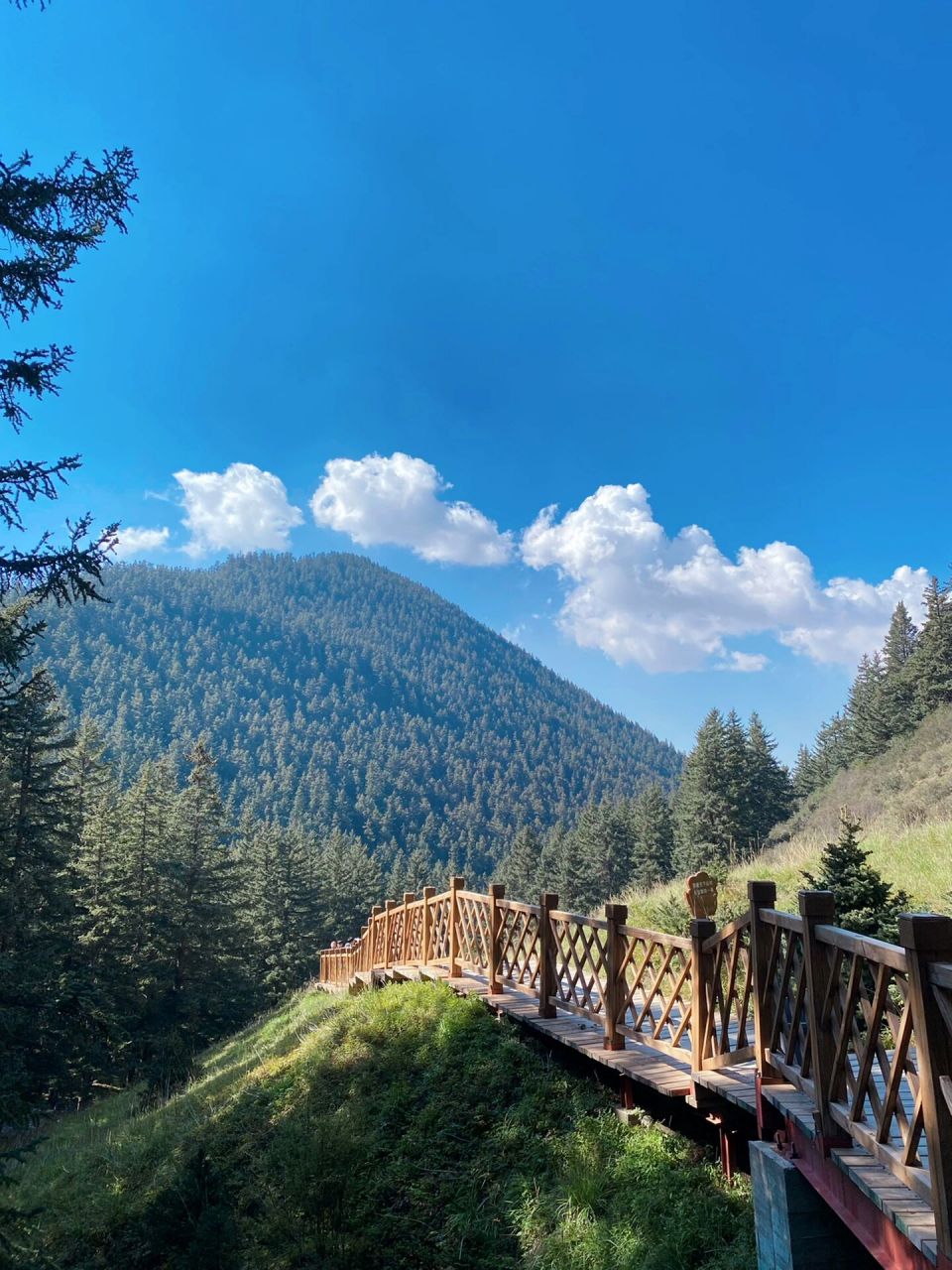 99坐落于贺兰山麓  阿拉善左旗因仓央嘉错而闻名进入景区有参观的寺