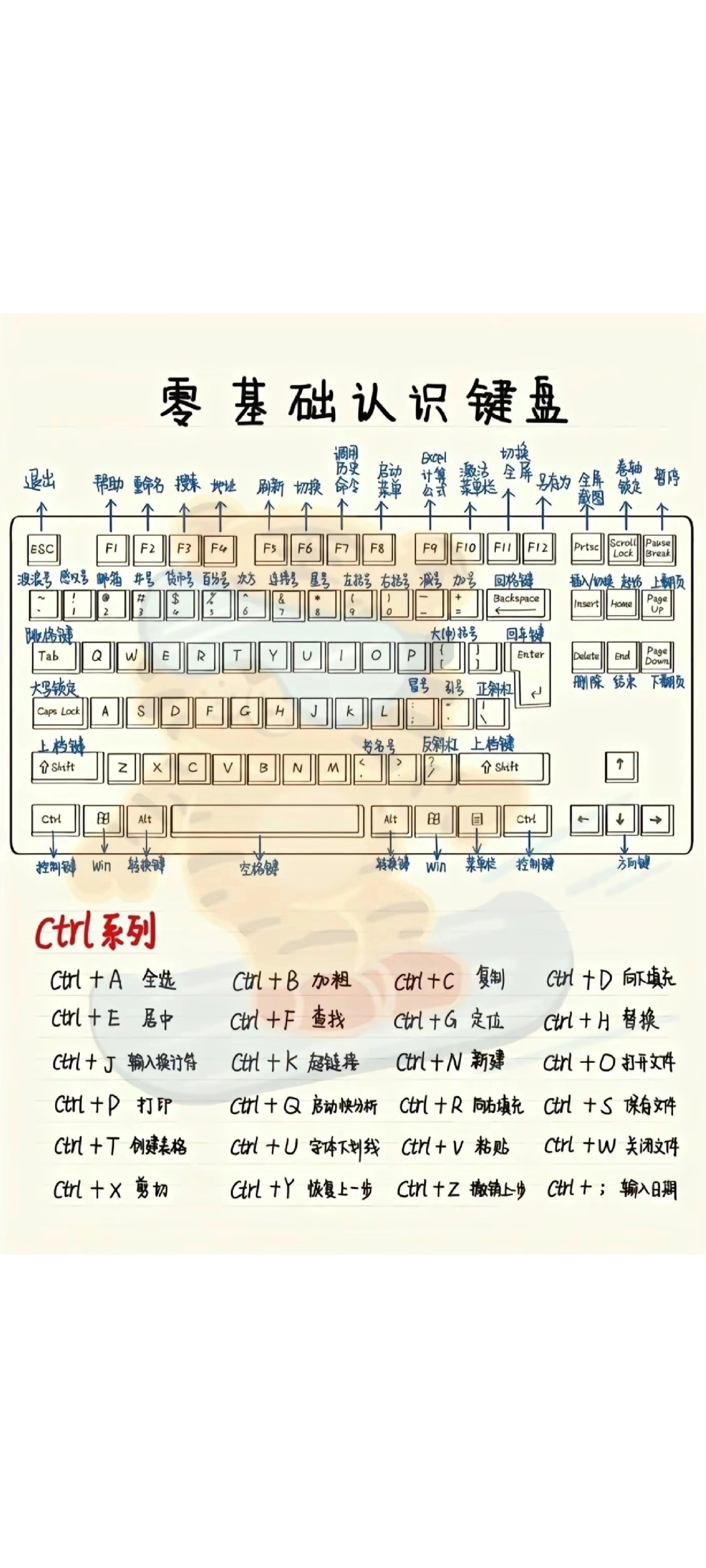 键盘分布全图图片