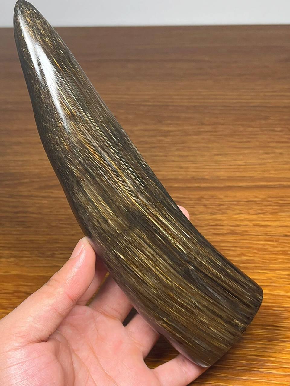 披毛犀角尖 披毛犀角尖尺寸:195×56×32mm克重:229.6g