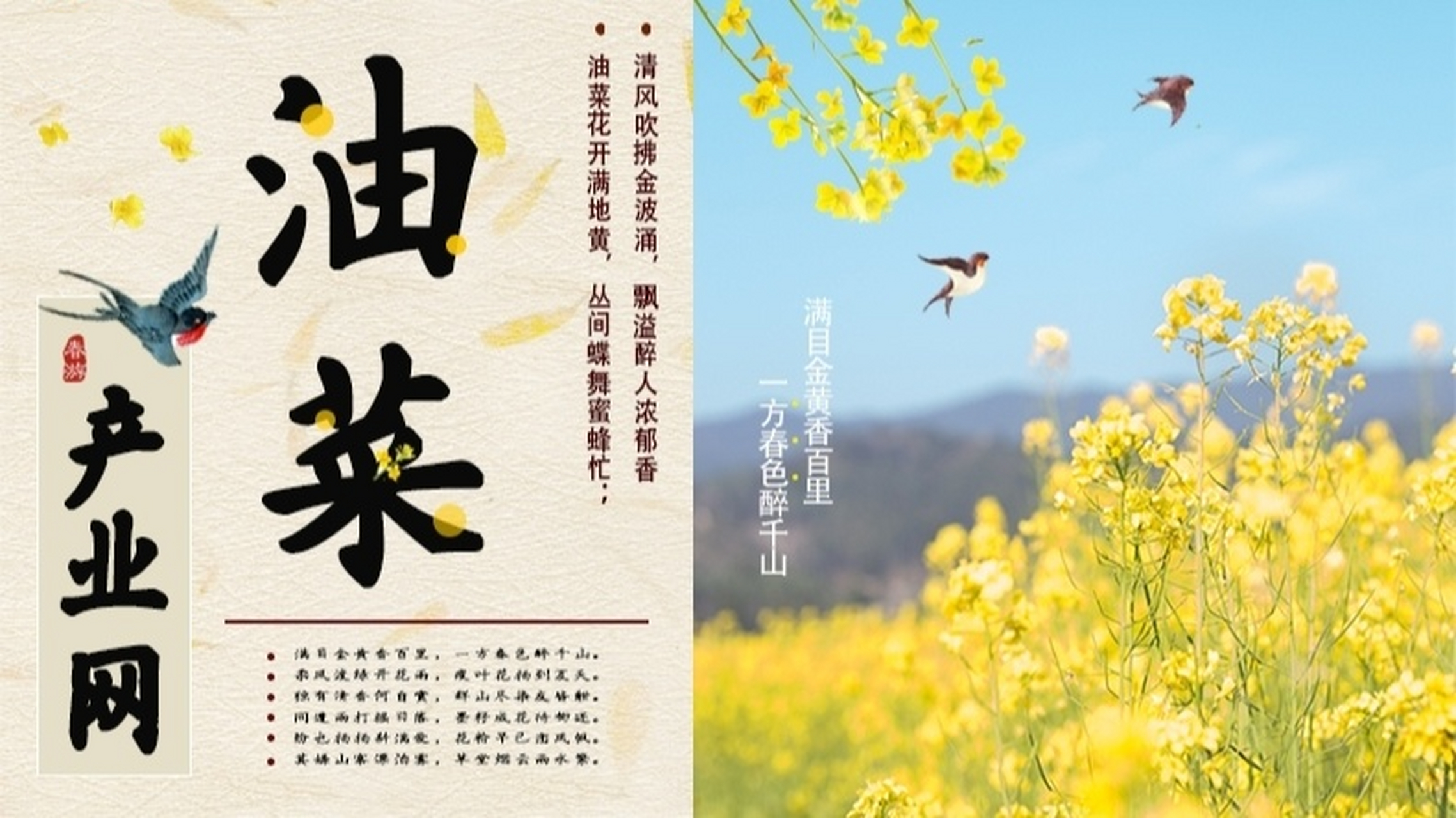 描写油菜花优美的诗句二 1),"好雨知时节,当春乃发生.