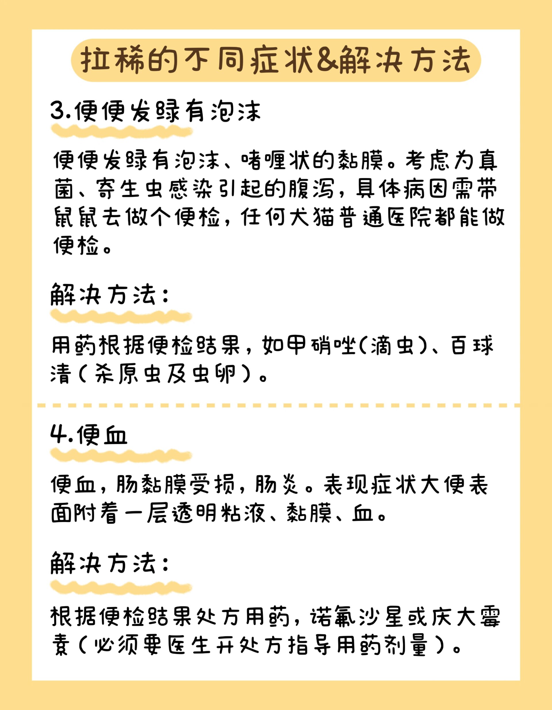 仓鼠拉稀怎么办?不要慌看这篇! 仓鼠拉稀其实是最容易治愈的疾病.