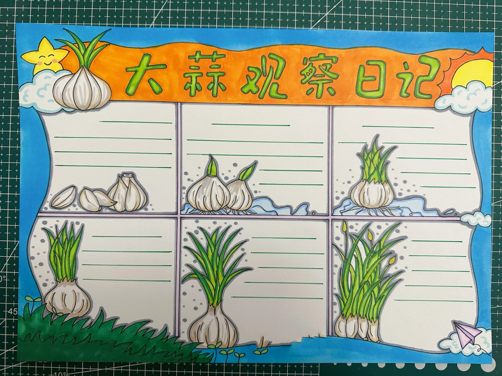 观察日记植物大蒜200字(观察日记植物大蒜200字左右)