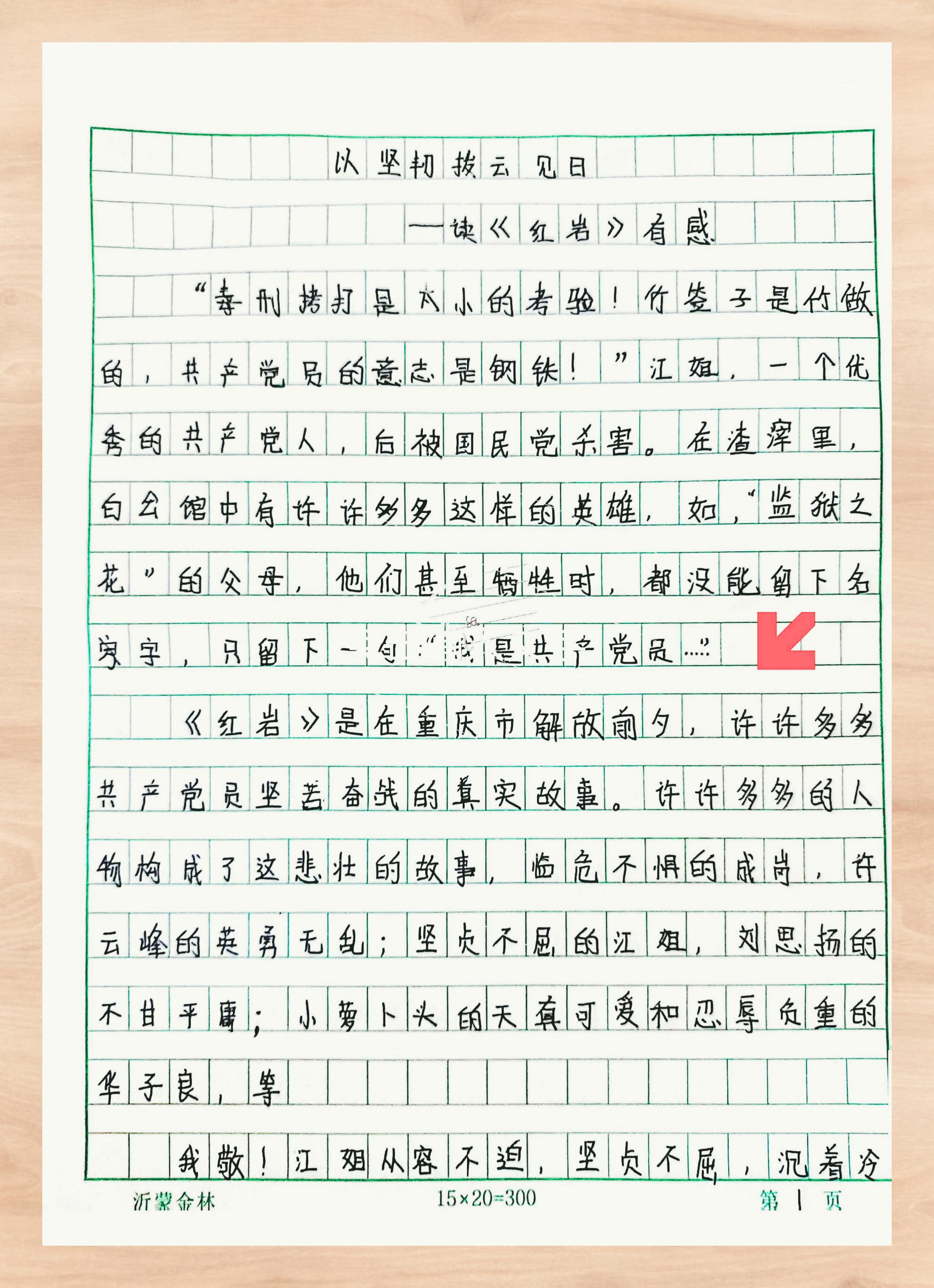 《红岩》 读后深感:信仰与坚韧的赞歌