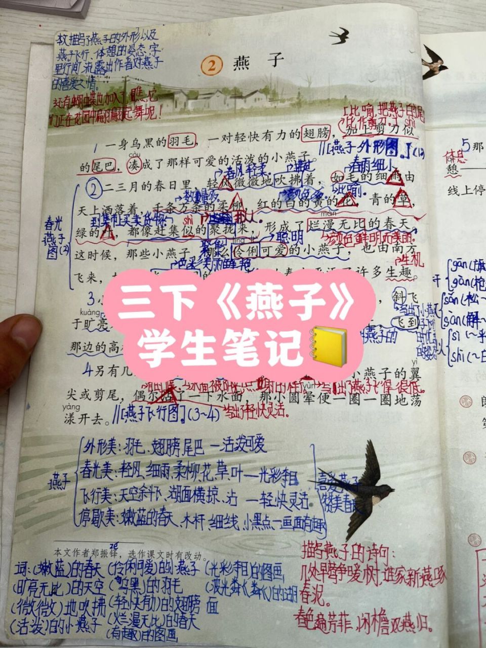 三下语文《燕子》学生笔记 欢迎大家指正 #小学语文# #三年级语文
