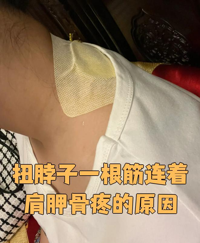 扭脖子一根筋连着肩胛骨疼的原因