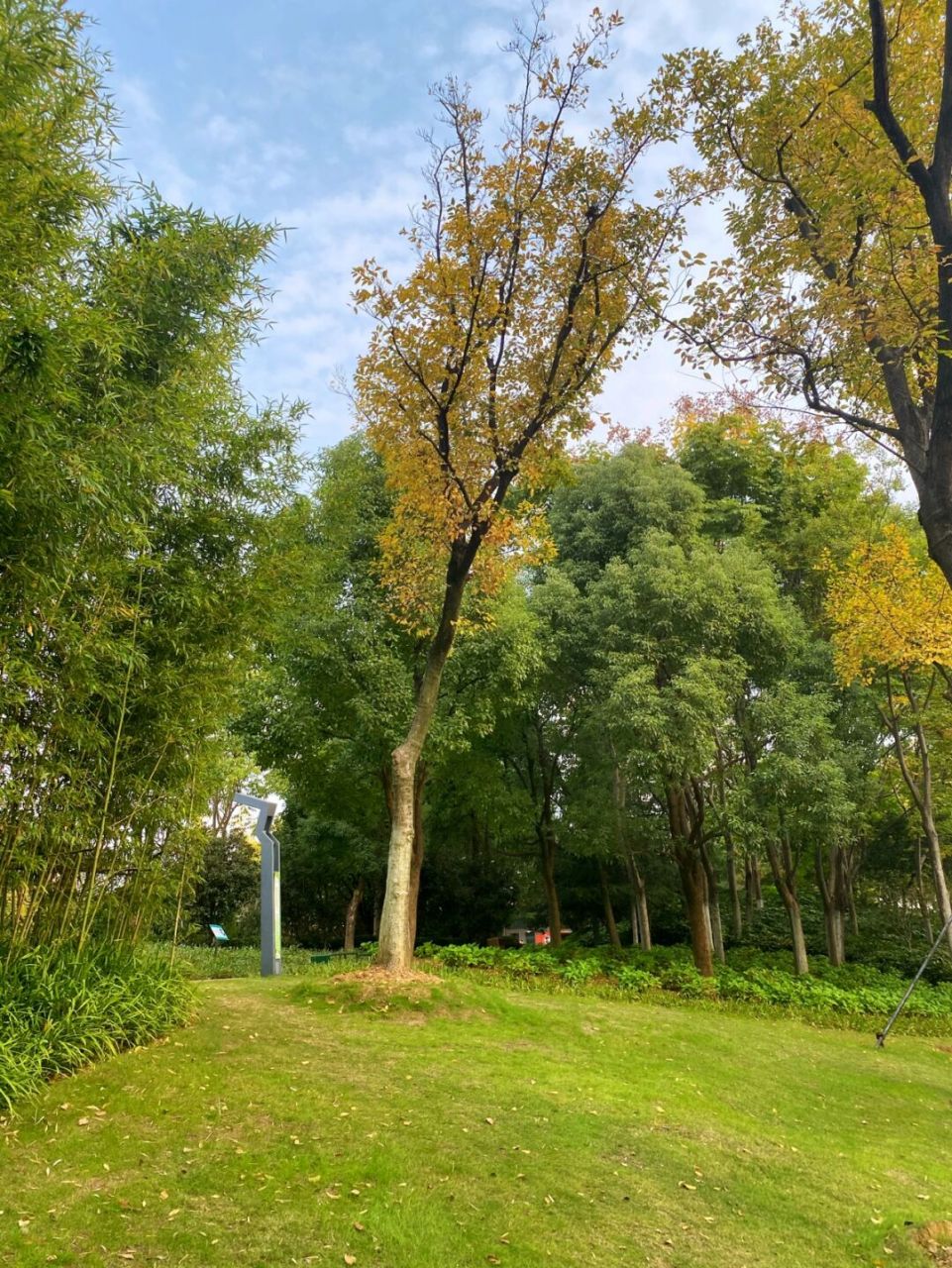 合肥生活/庐州公园·合肥生态涵养地 99:合肥市庐阳区冬青街与蓝莓