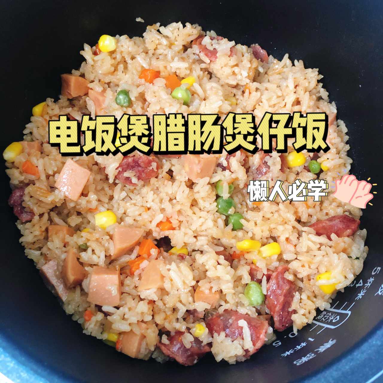 煲仔饭的做法电饭煲图片