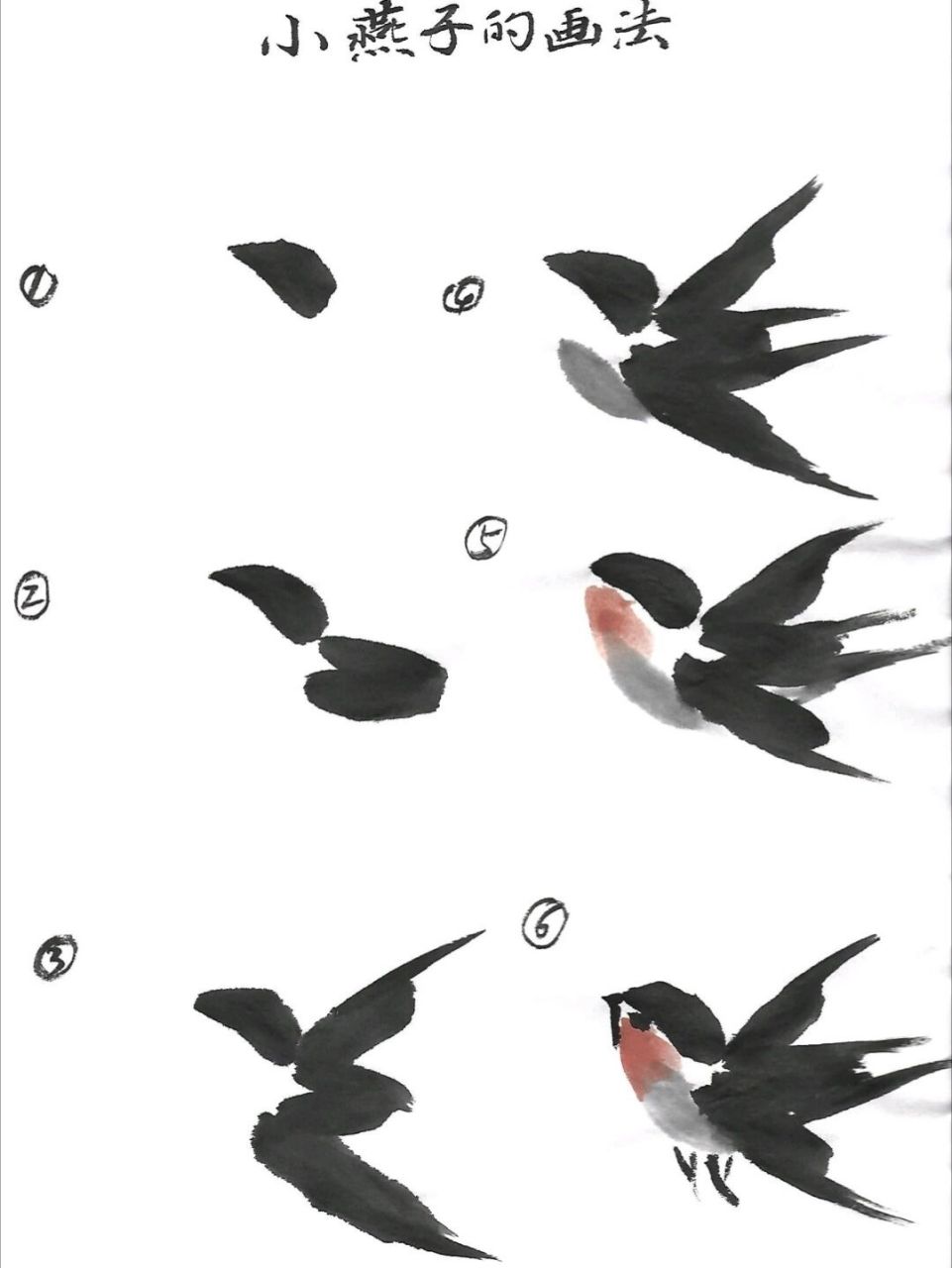 燕子的画法简单又好看图片