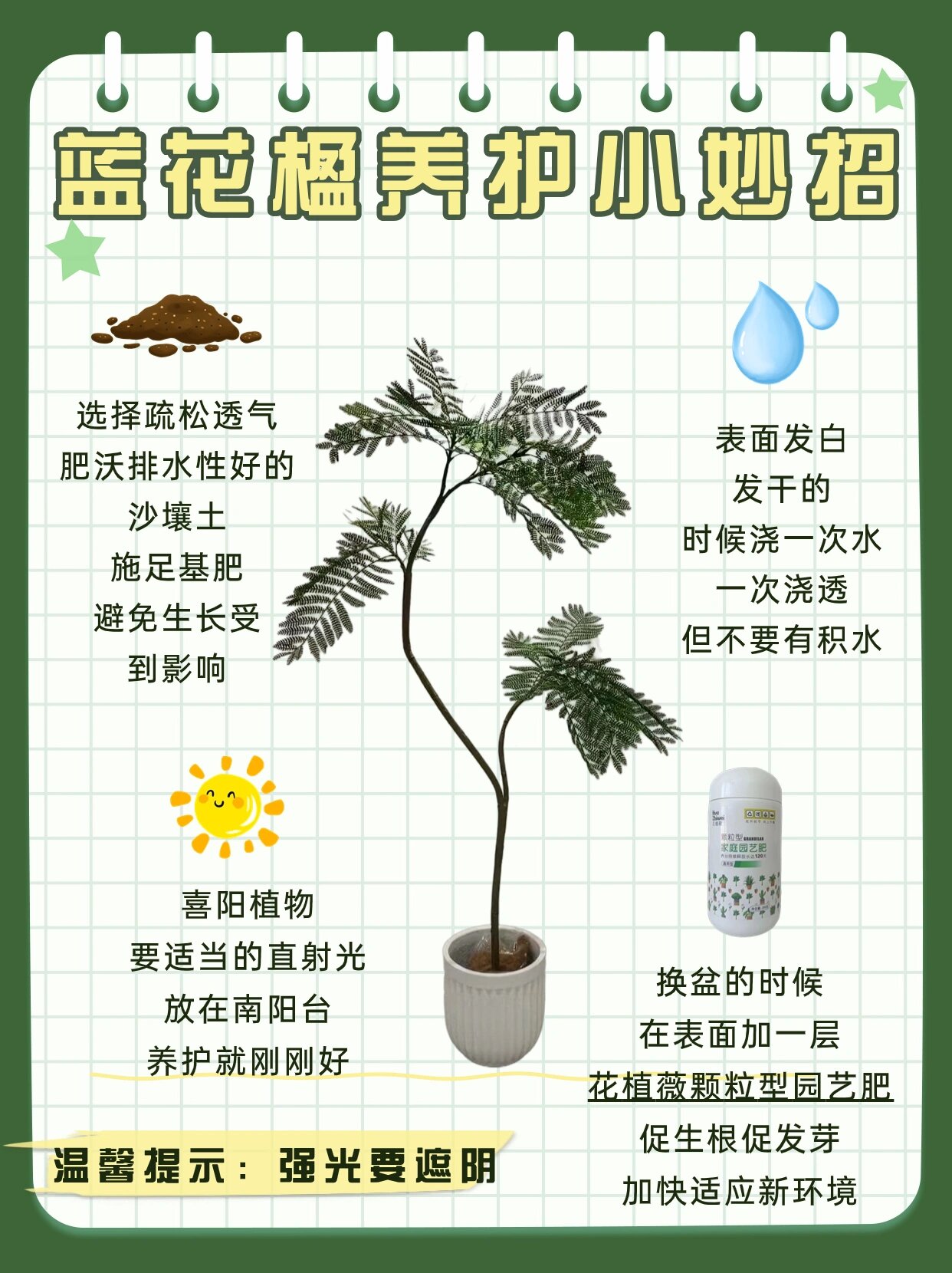 办公室绿植必选