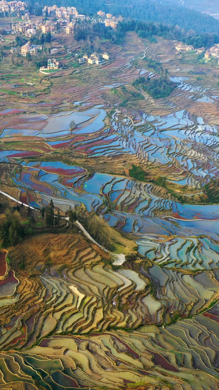 云南红河元阳哈尼梯田,世界遗产
