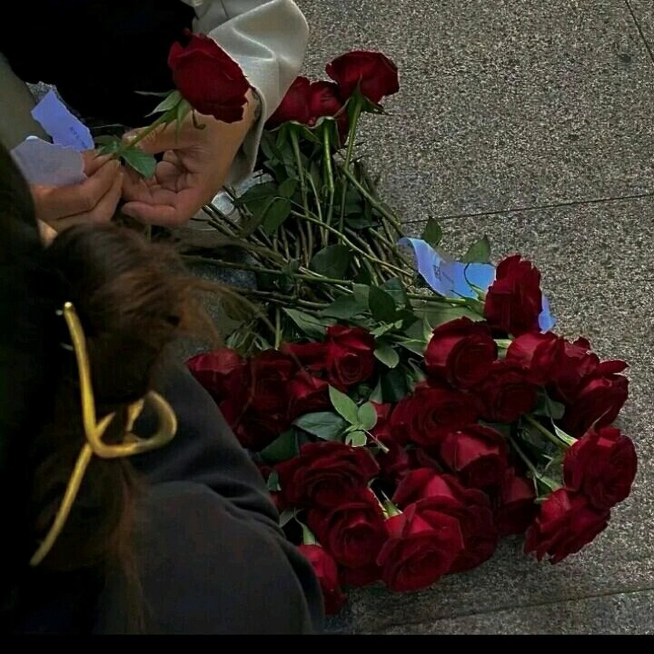 分享好看的玫瑰花头像