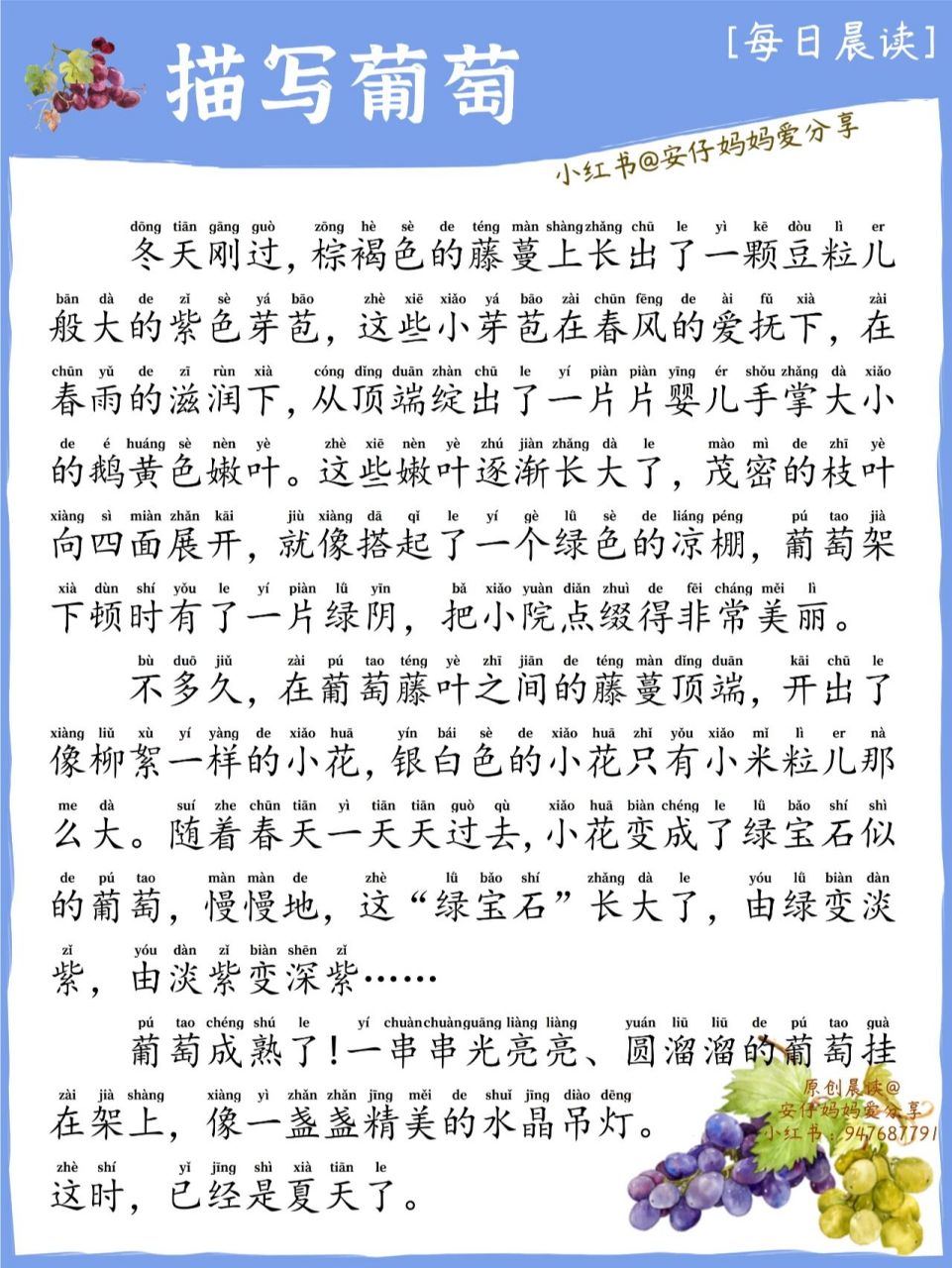 描写葡萄/小学生晨读/带拼音/好词好句摘抄 小学生美文晨读作文(带