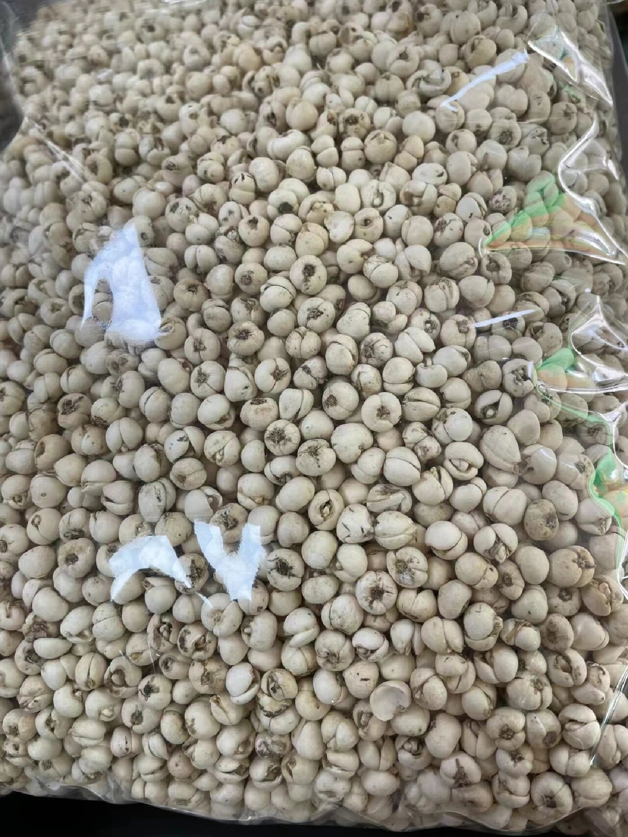 正宗纯正野生川贝【鸡心贝】 正宗纯正野生川贝【鸡心贝】 鸡心贝止咳