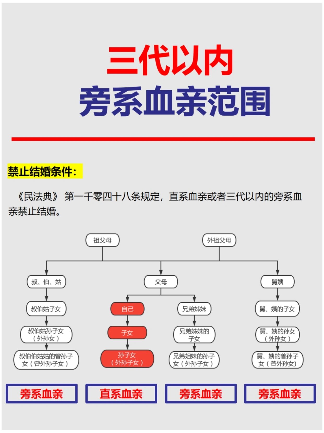 直系血亲/旁系血亲的范围