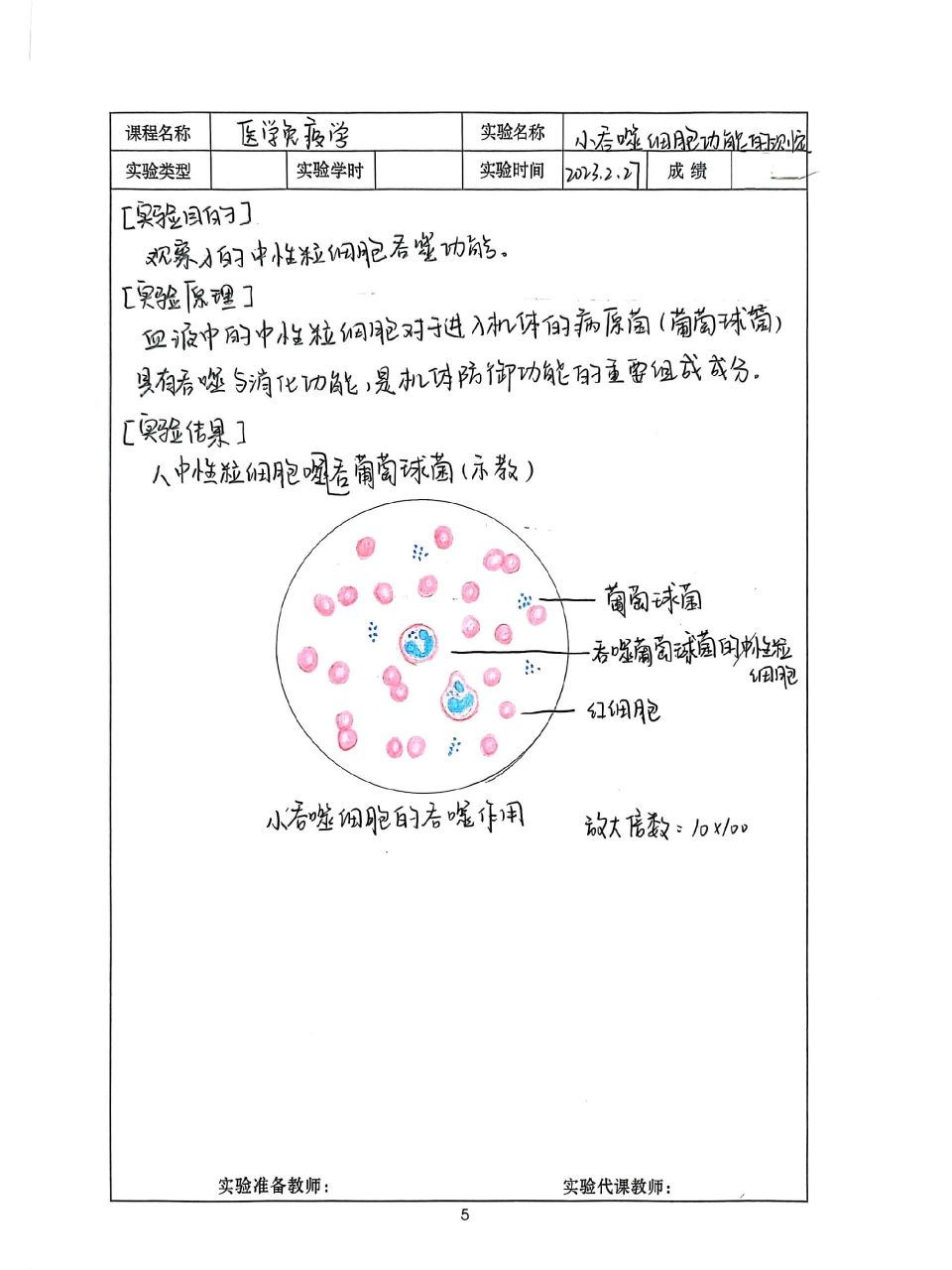 神经元实验报告手绘图图片