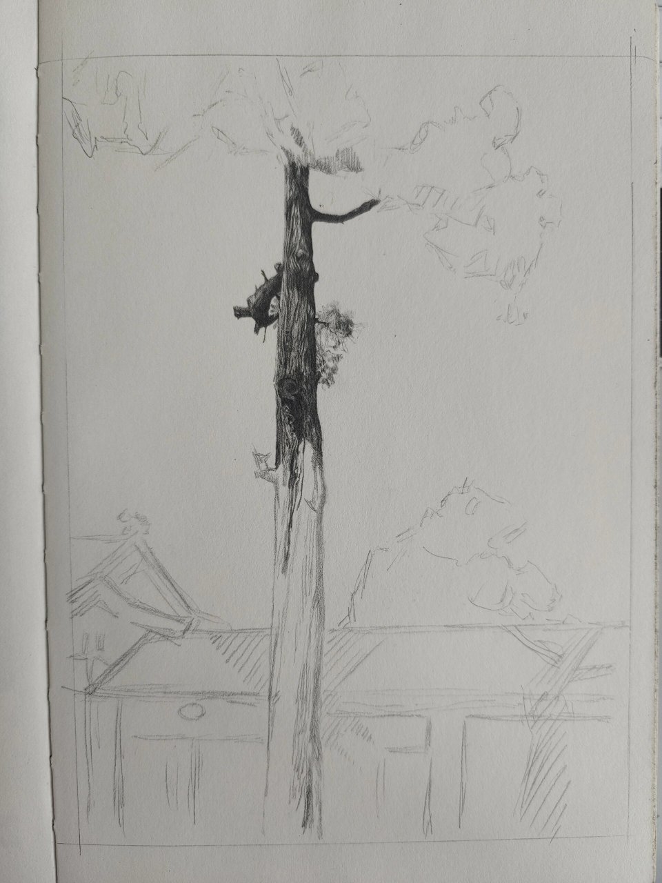 一棵树的绘画过程(铅笔素描) 一棵树的绘画过程(铅笔素描) 这叫树大遮