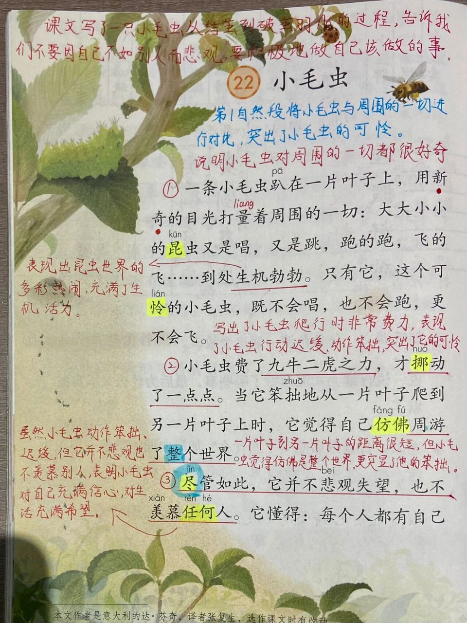 二下课堂笔记《小毛虫》