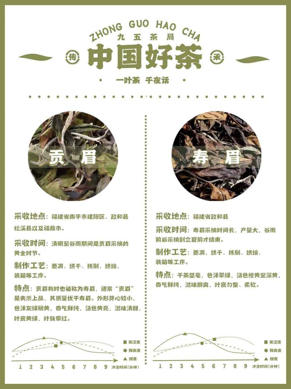 一分钟带你区分福鼎白茶四大等级 福鼎白茶分为寿眉,贡眉,白牡丹,白毫