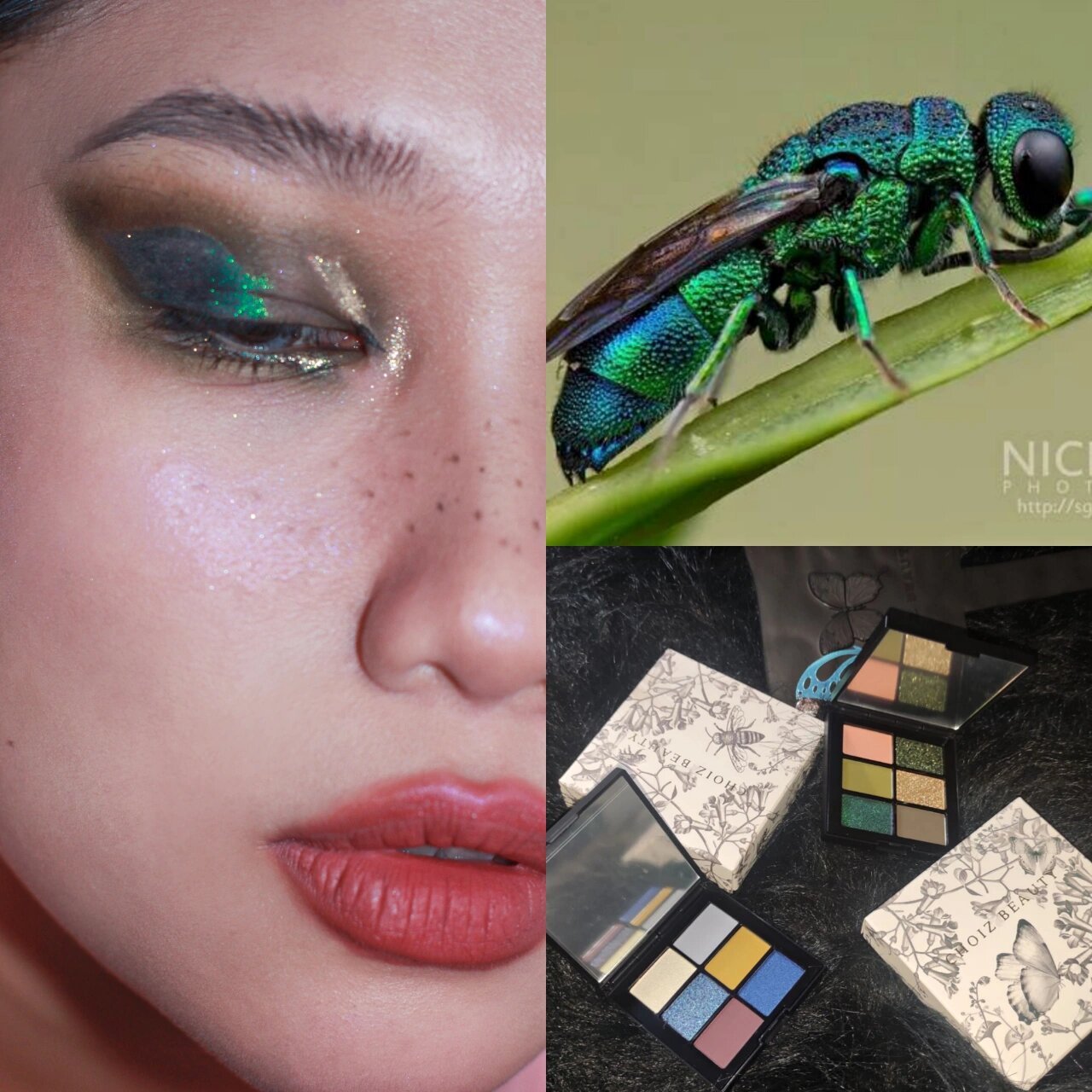 每天一只小昆虫93|泥匠蜂灵感妆容 泰!绝!辣!