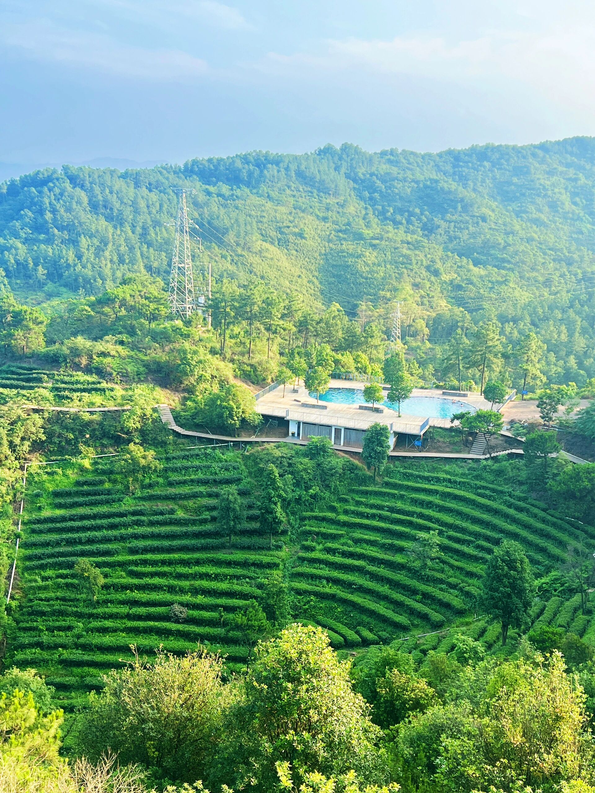 99地点:广东鹤山市茶山森林生态园风景区(中山出发一个小时左右)