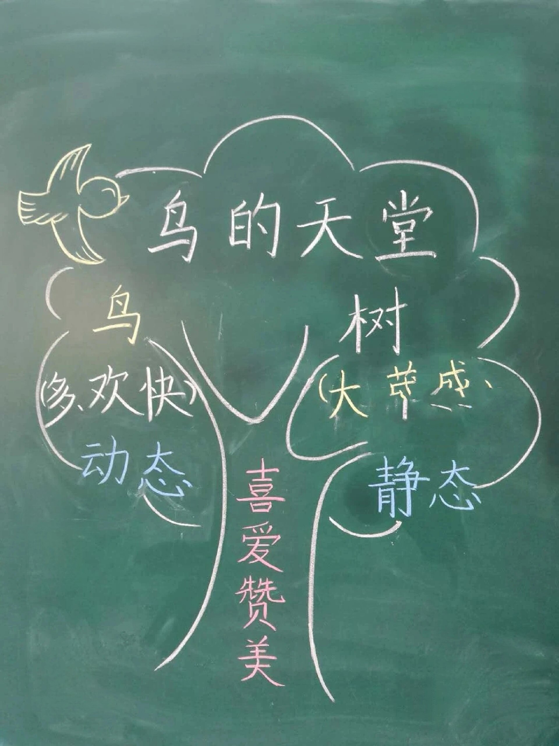 鸟的天堂 语文板书
