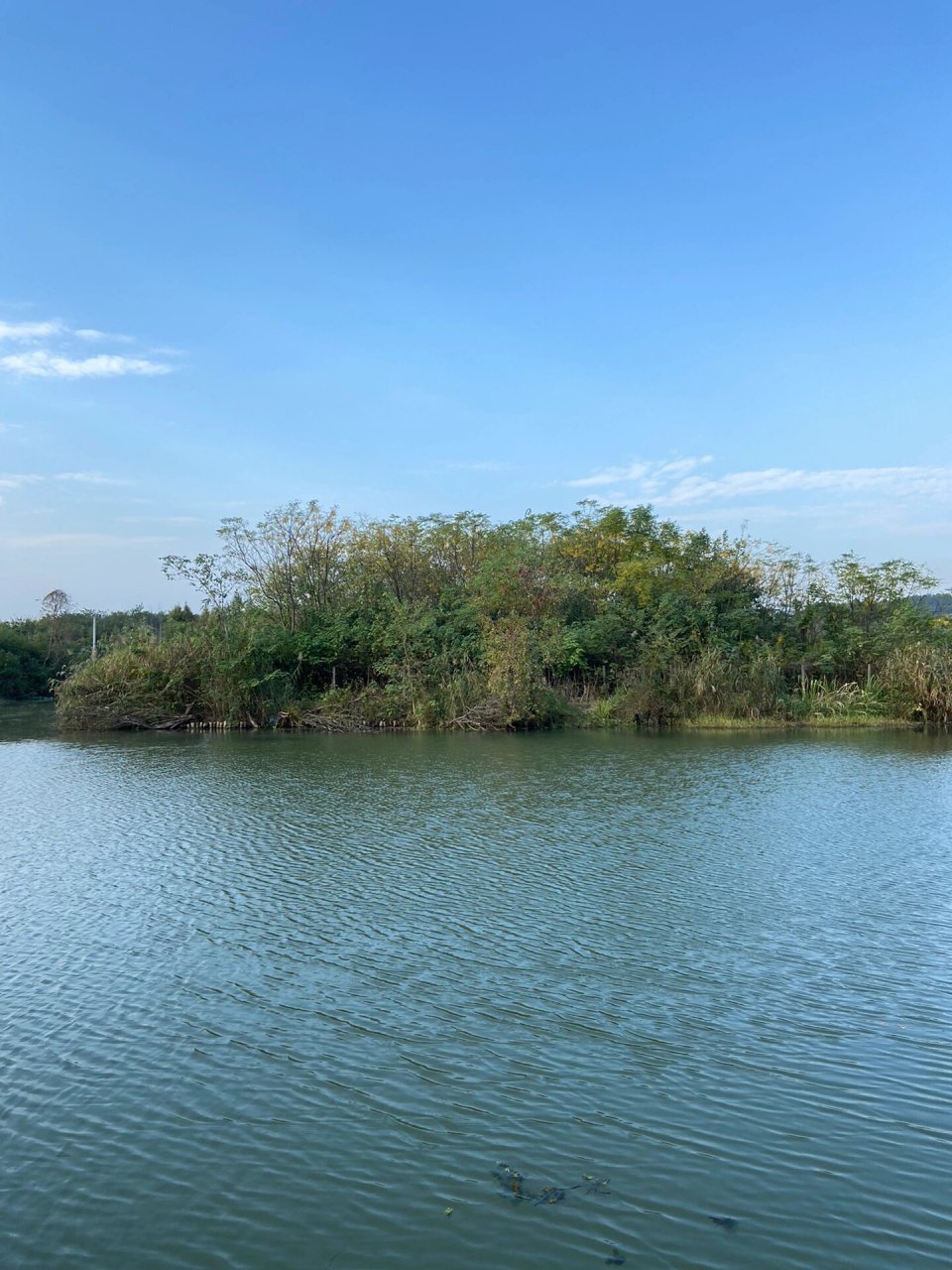 诸暨白塔湖湿地公园半日游 浙江诸暨白塔湖国家湿地公园,位于浙江省