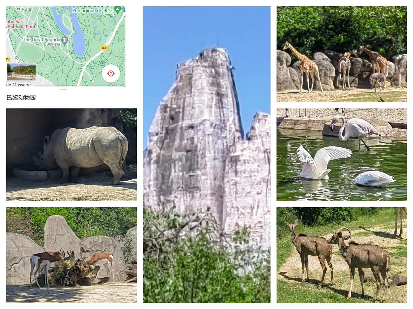 逛逛巴黎的动物园 巴黎动物园位于巴黎市郊,靠近文森森林附近,但是