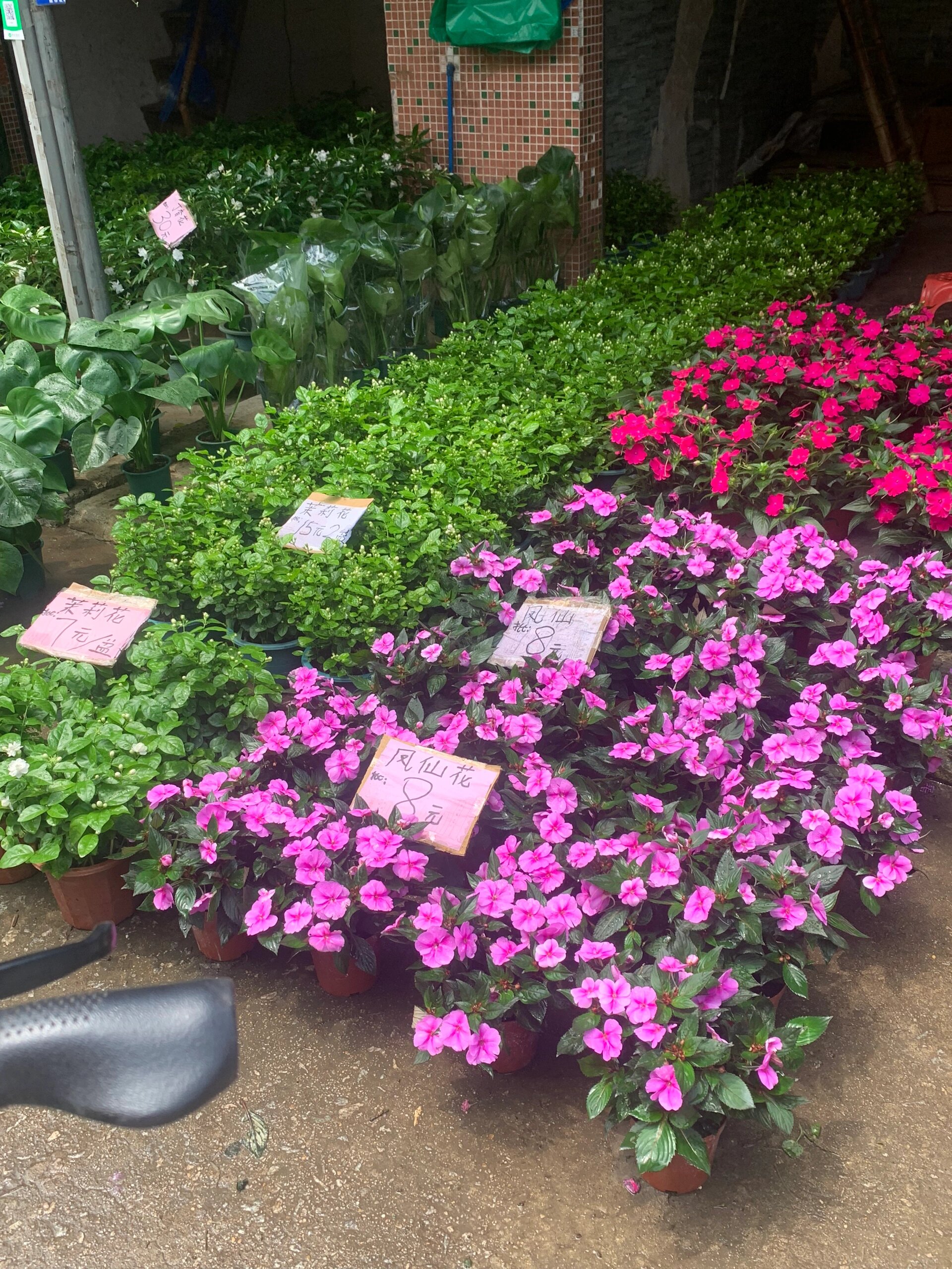 26日广州最大花卉市场更新 这是广州最大的花卉市场,位于广州滘口,有