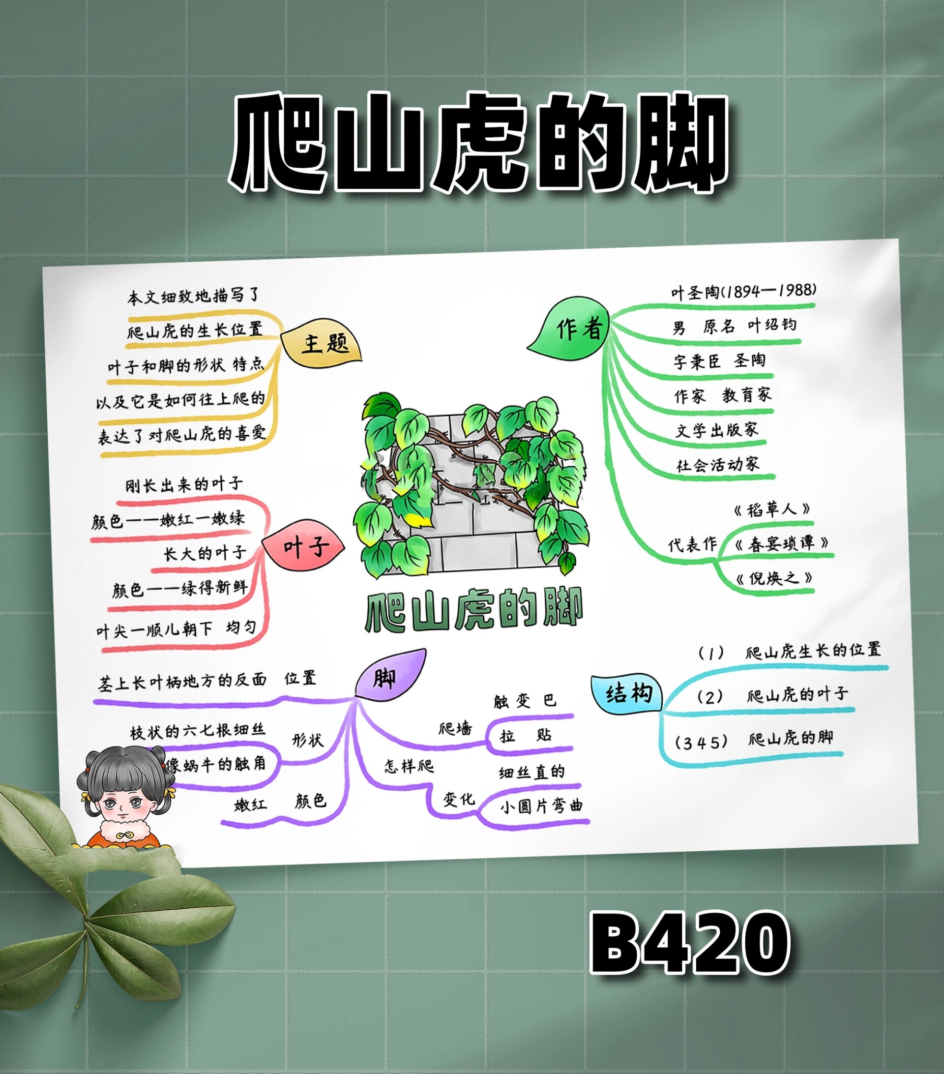 b420四年级语文上册爬山虎的脚思维导图