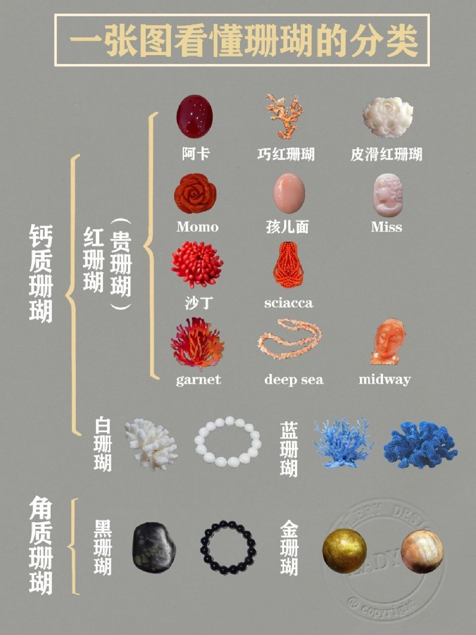 "珊瑚的形成条件极为严格,在国际上被列为一级保护动物.