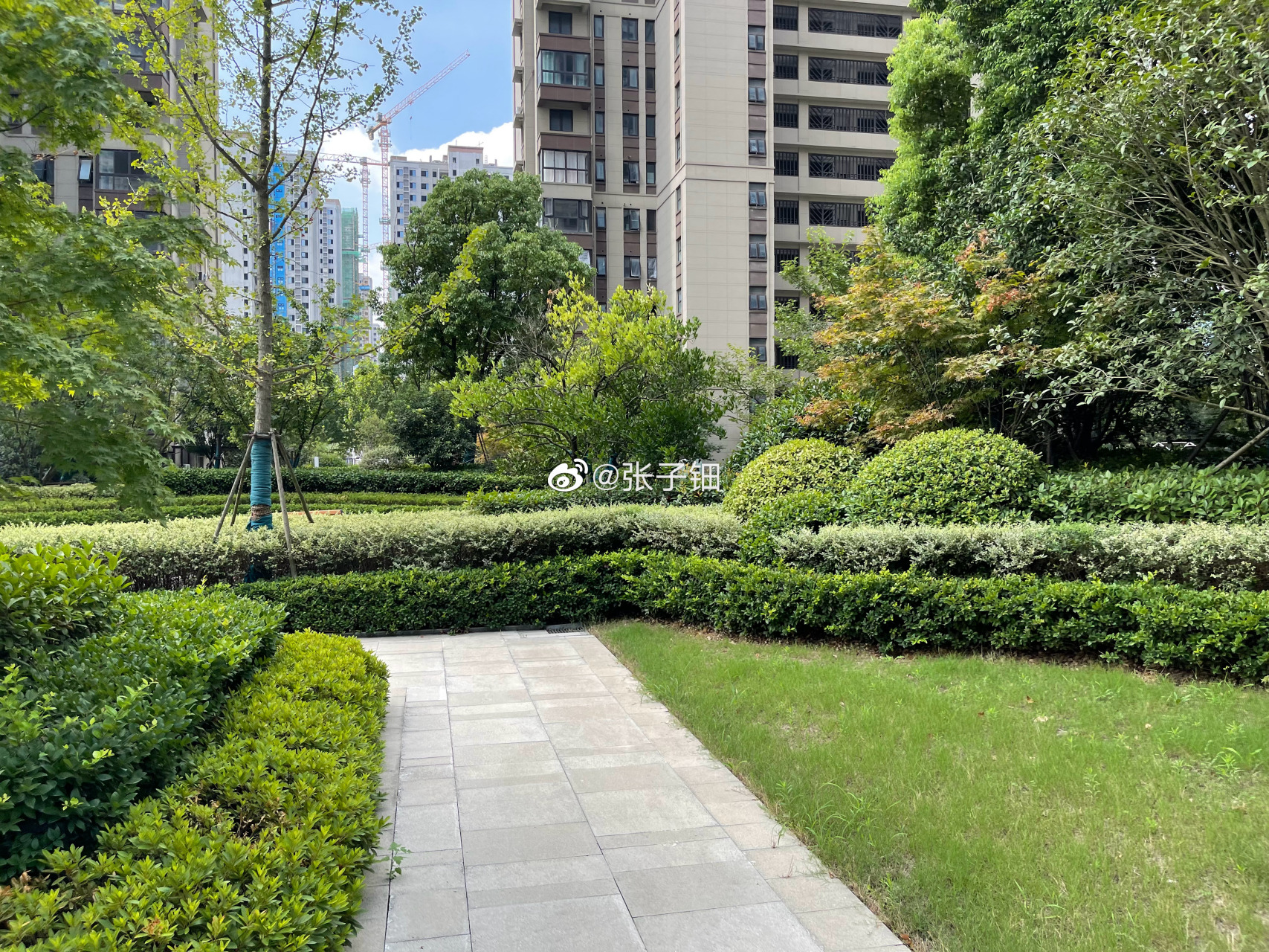 西子曼城,合肥高新区刚需盘,咱实话实说,地铁口100米,出门一站式到达