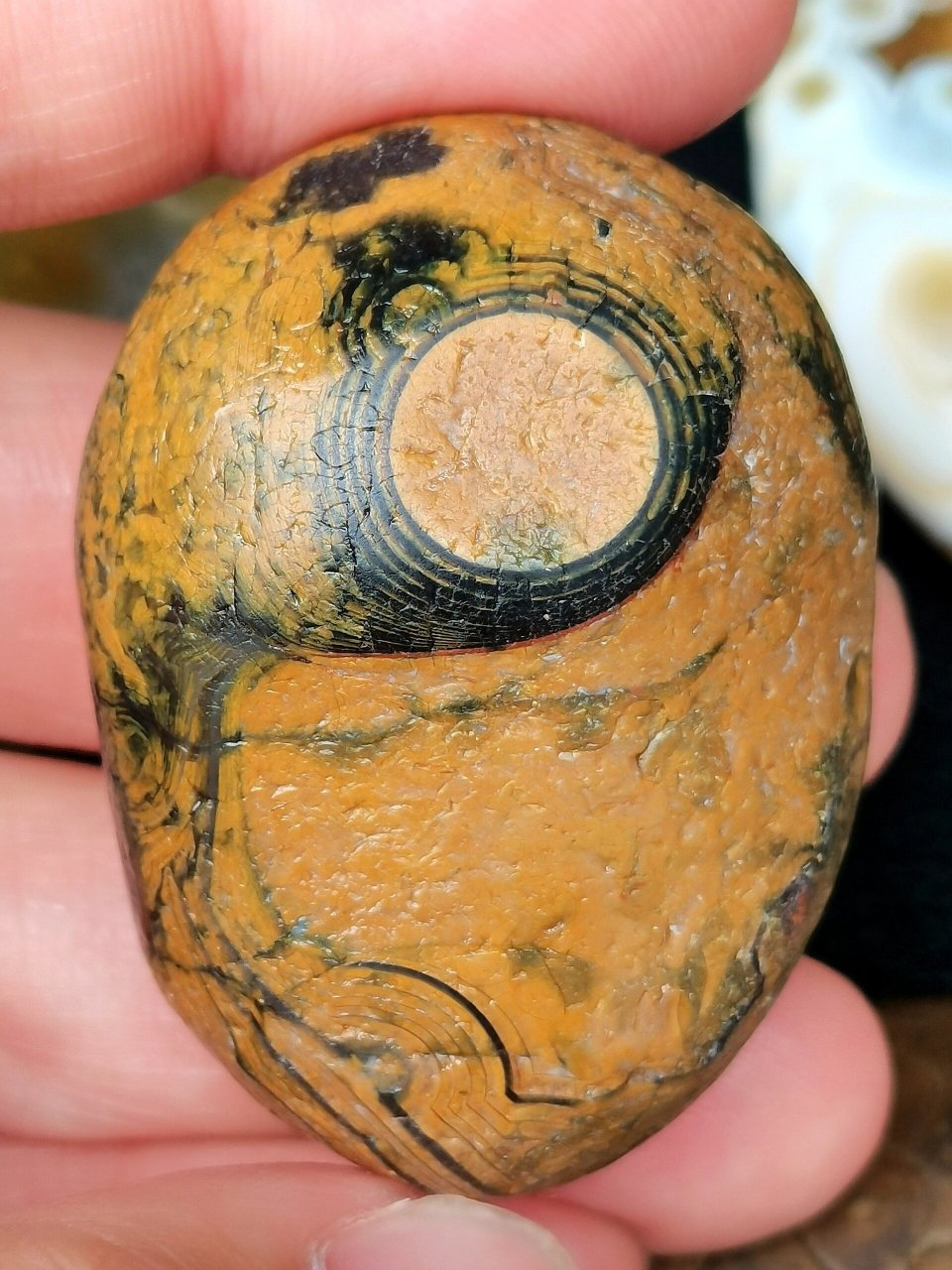 27 清凉山淘石 松香玛瑙 周六逛市场看到一些松香玛瑙 松香玛瑙因表皮