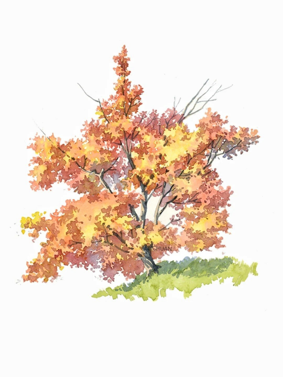 北川老师,一棵树的画法,好治愈,爱了爱了 水彩,树的画法,治愈系!大爱