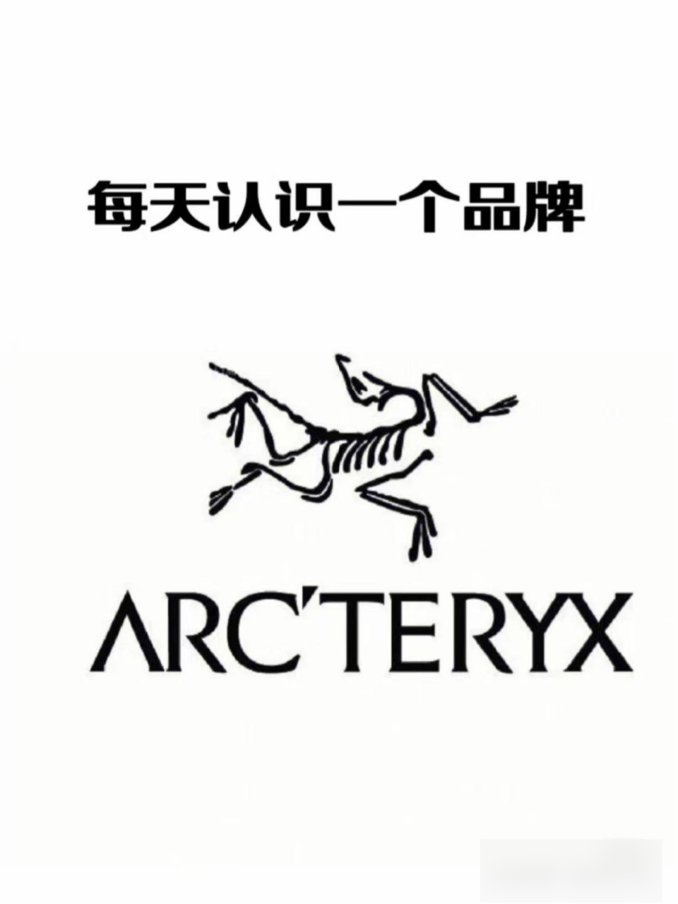 始祖鸟(骨架鸟)今年最火的潮牌-始祖鸟(骨架鸟) 本来只是一个做户外