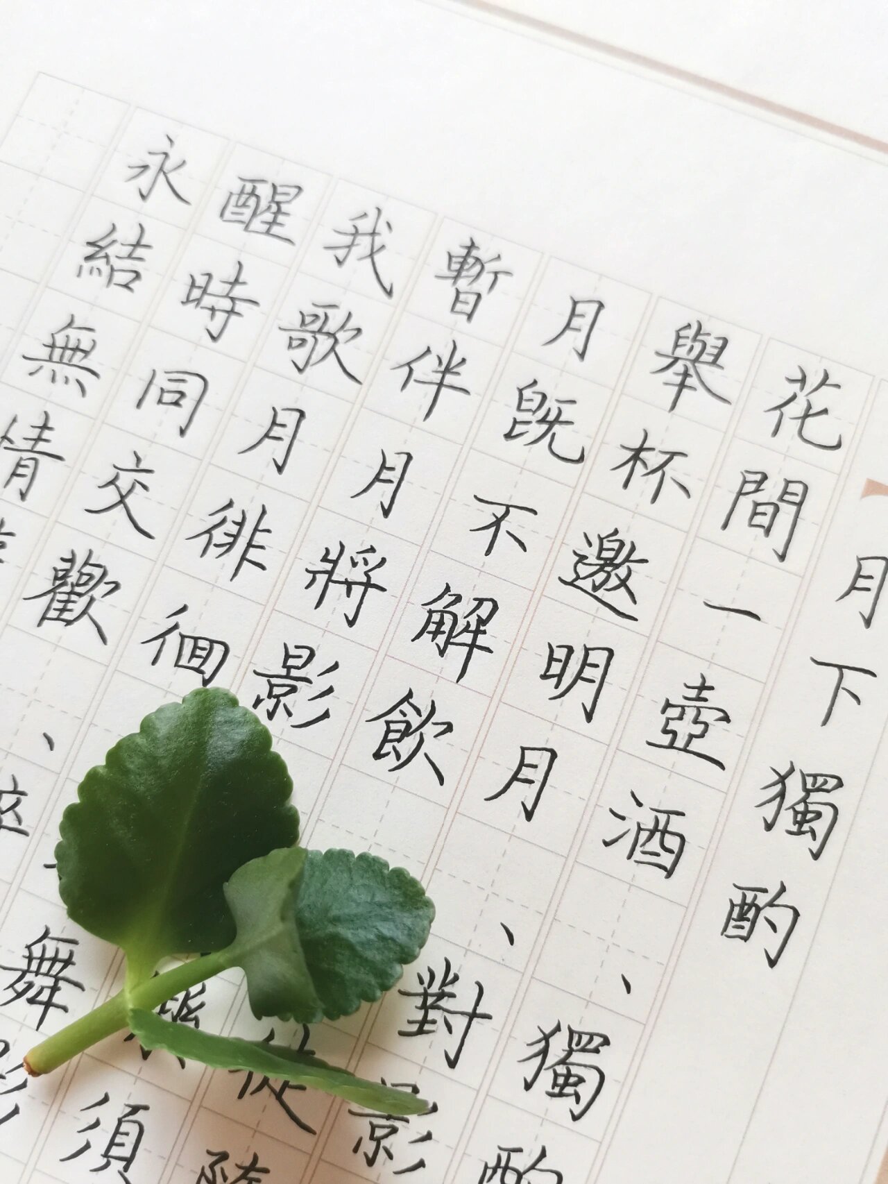 硬笔书法练习~古诗词《月下独酌@采笔题青春的动态