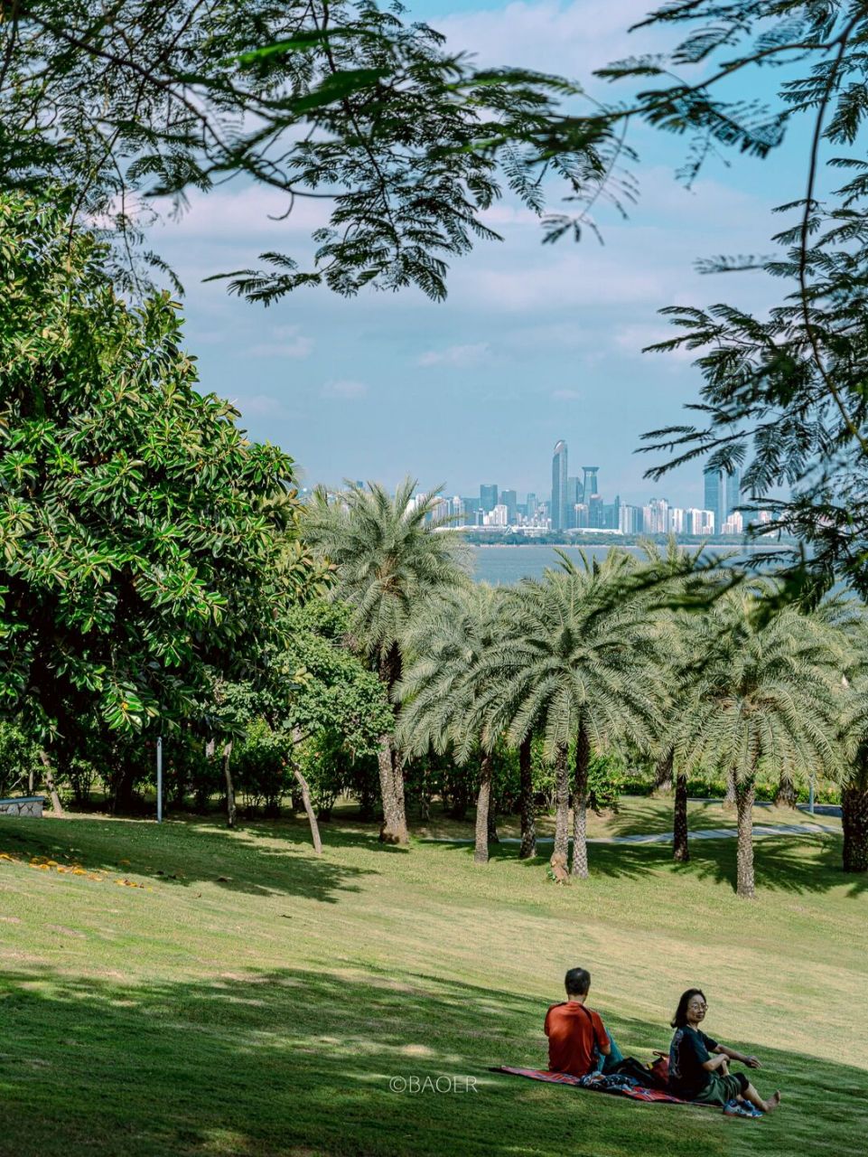 深圳海景公园9061夏威夷既视感风景圣地 草坪,椰树,太阳,海边