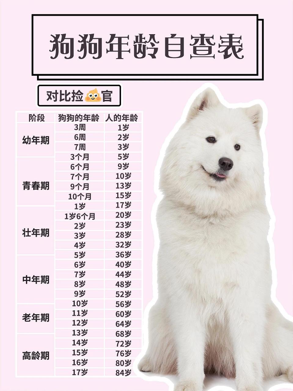 犬类年龄对照表图片