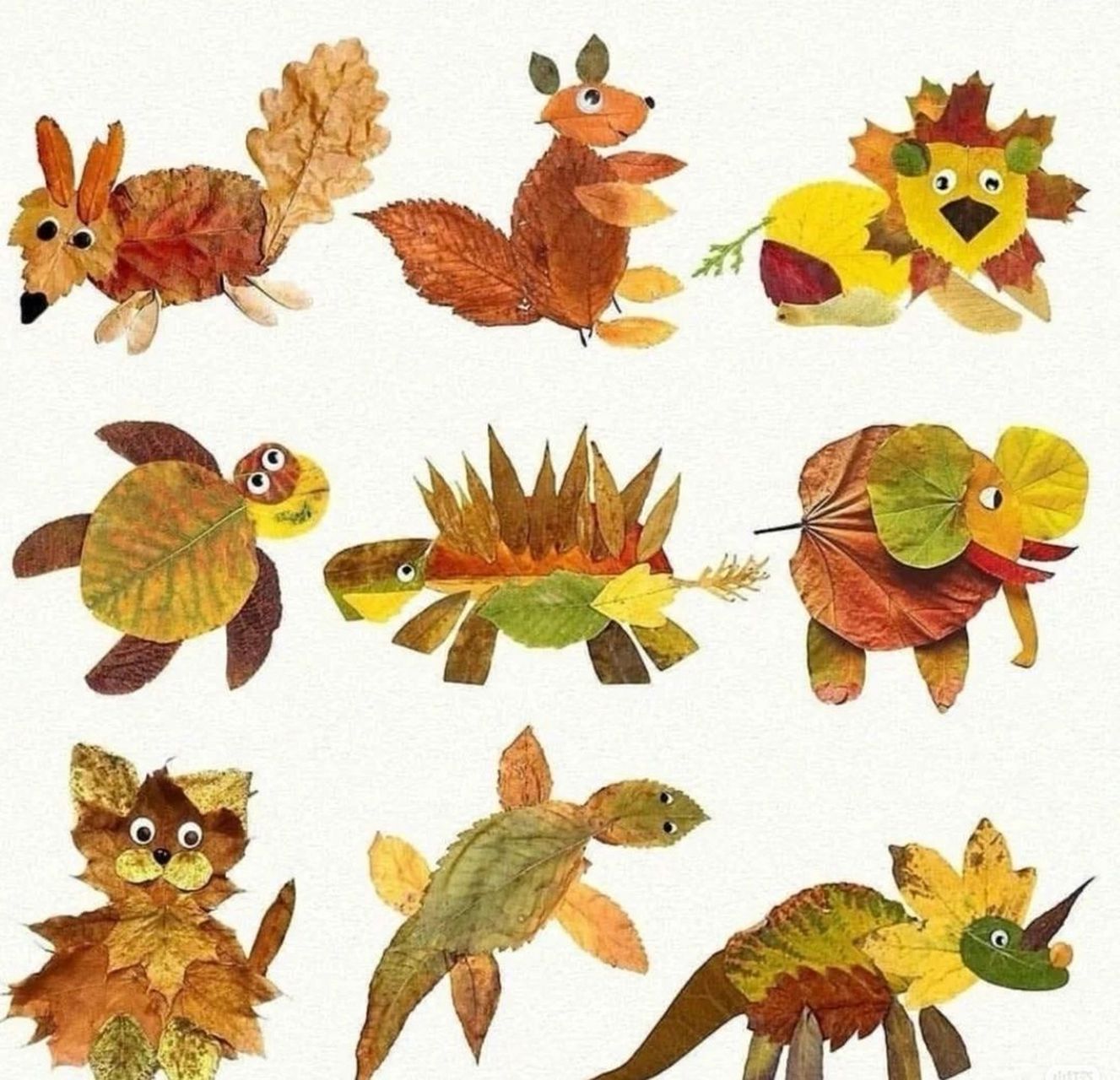 树叶贴画简单小动物图片