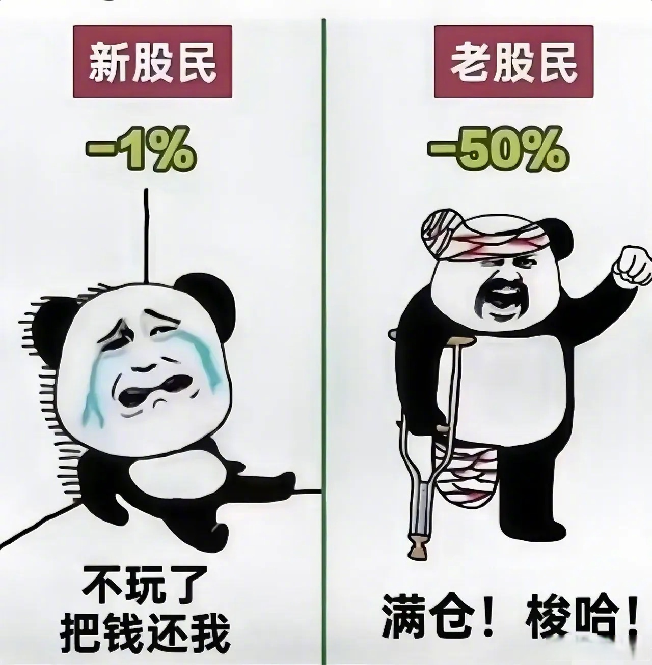 根据搜索结果,截止今天,我国股民总数约为2