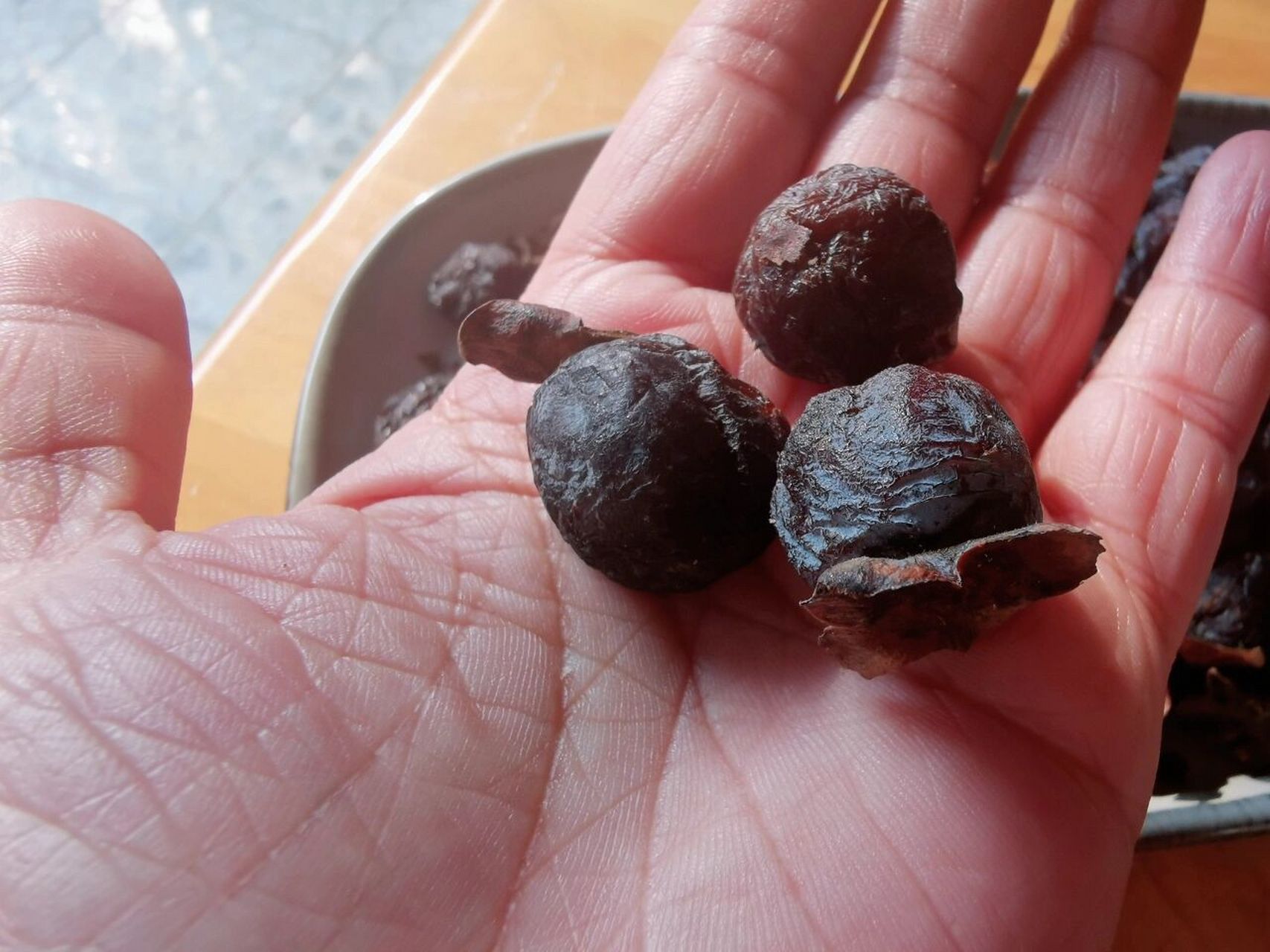 【随食】野生的软枣 不要钱 随便搂 今天,到萝卜寨后面山上溜达,发现