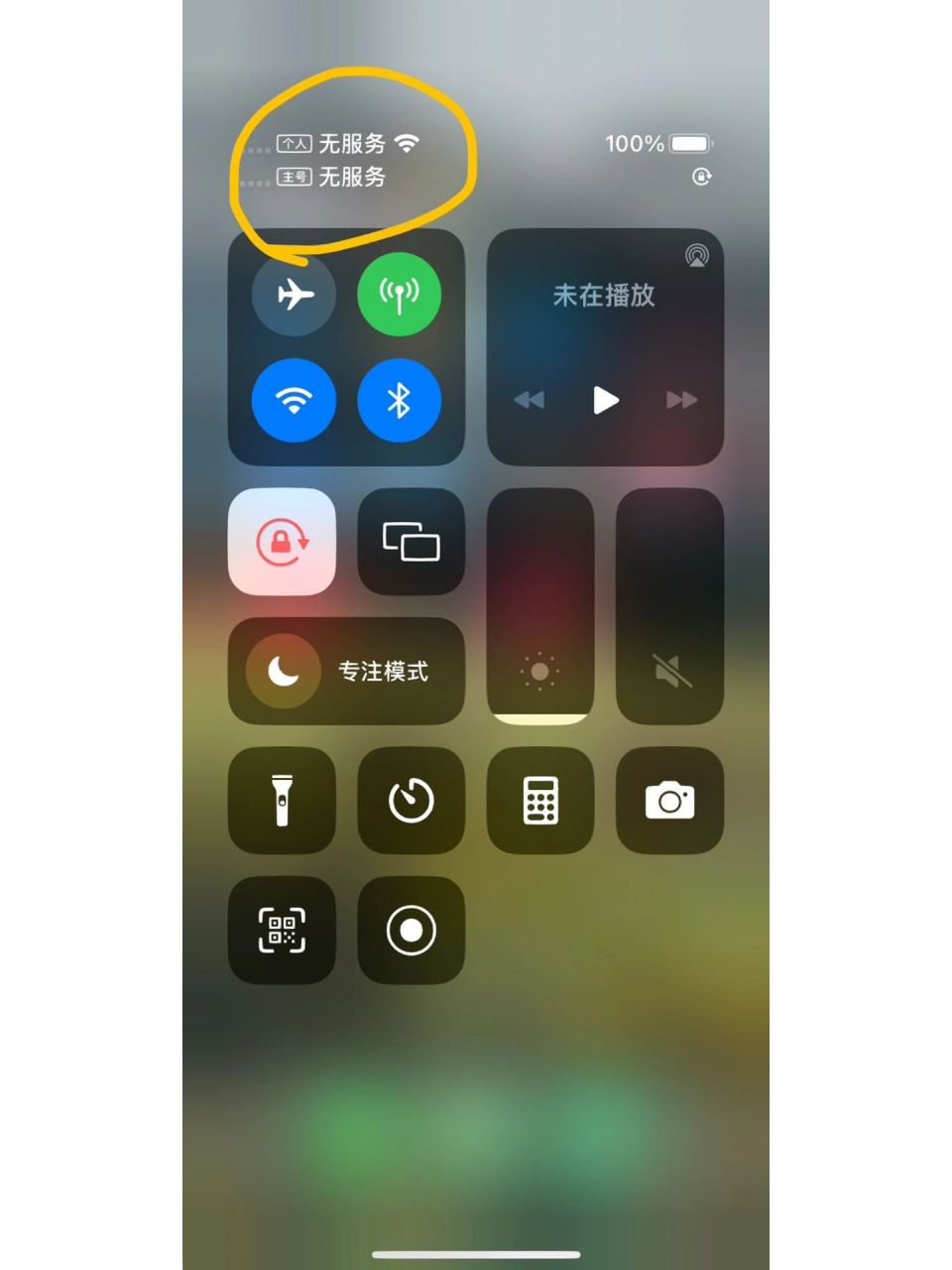 苹果手机一直显示无服务咋回事?