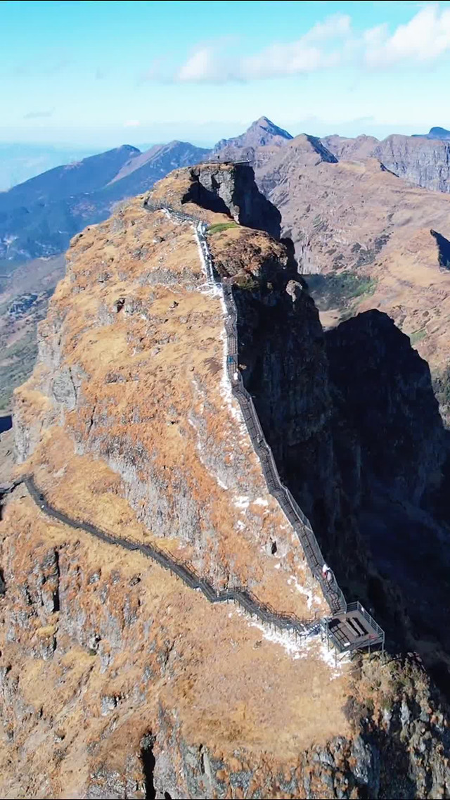 高峰期顶臂图片