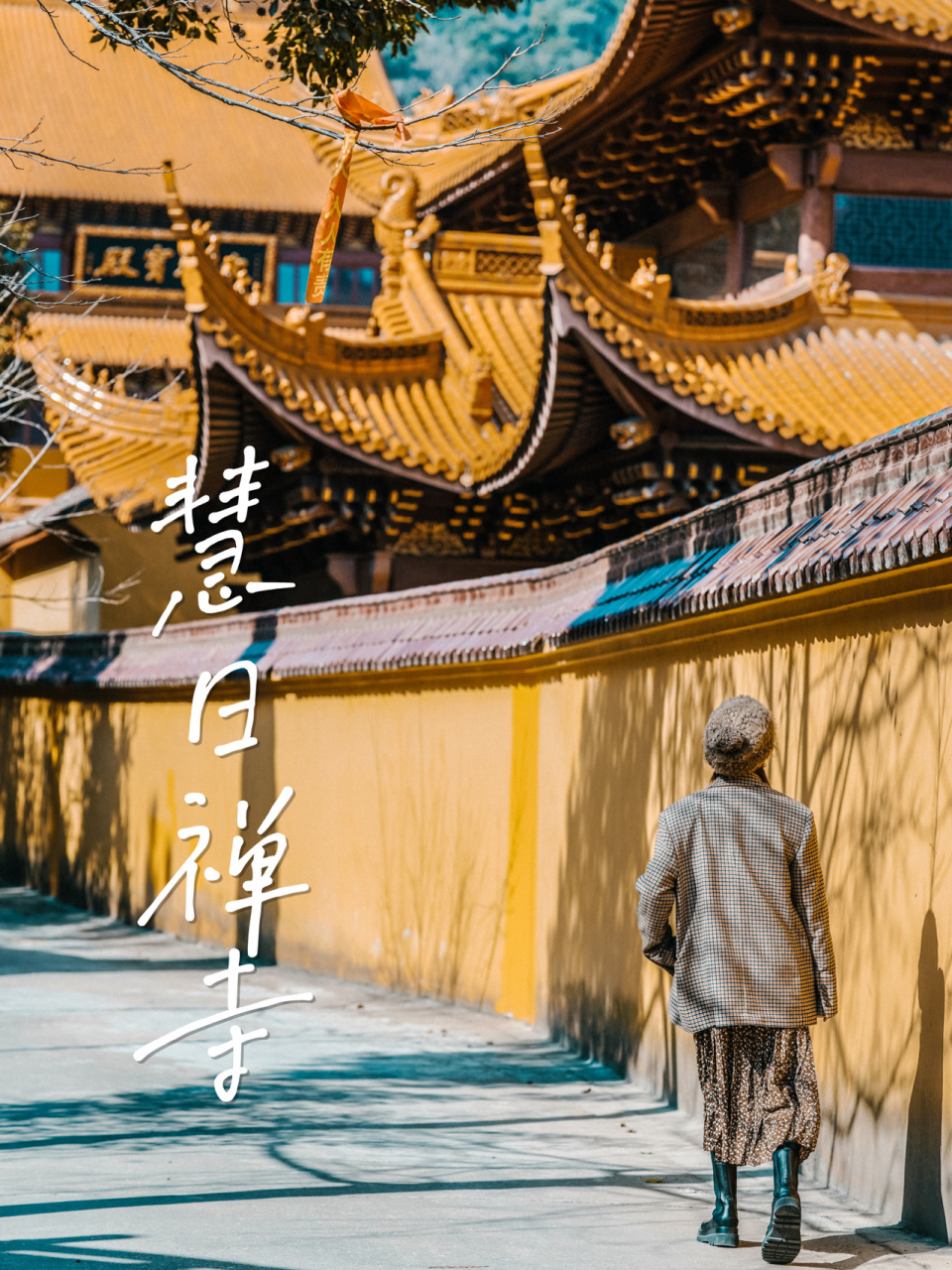 宁波|慧日禅寺,99.